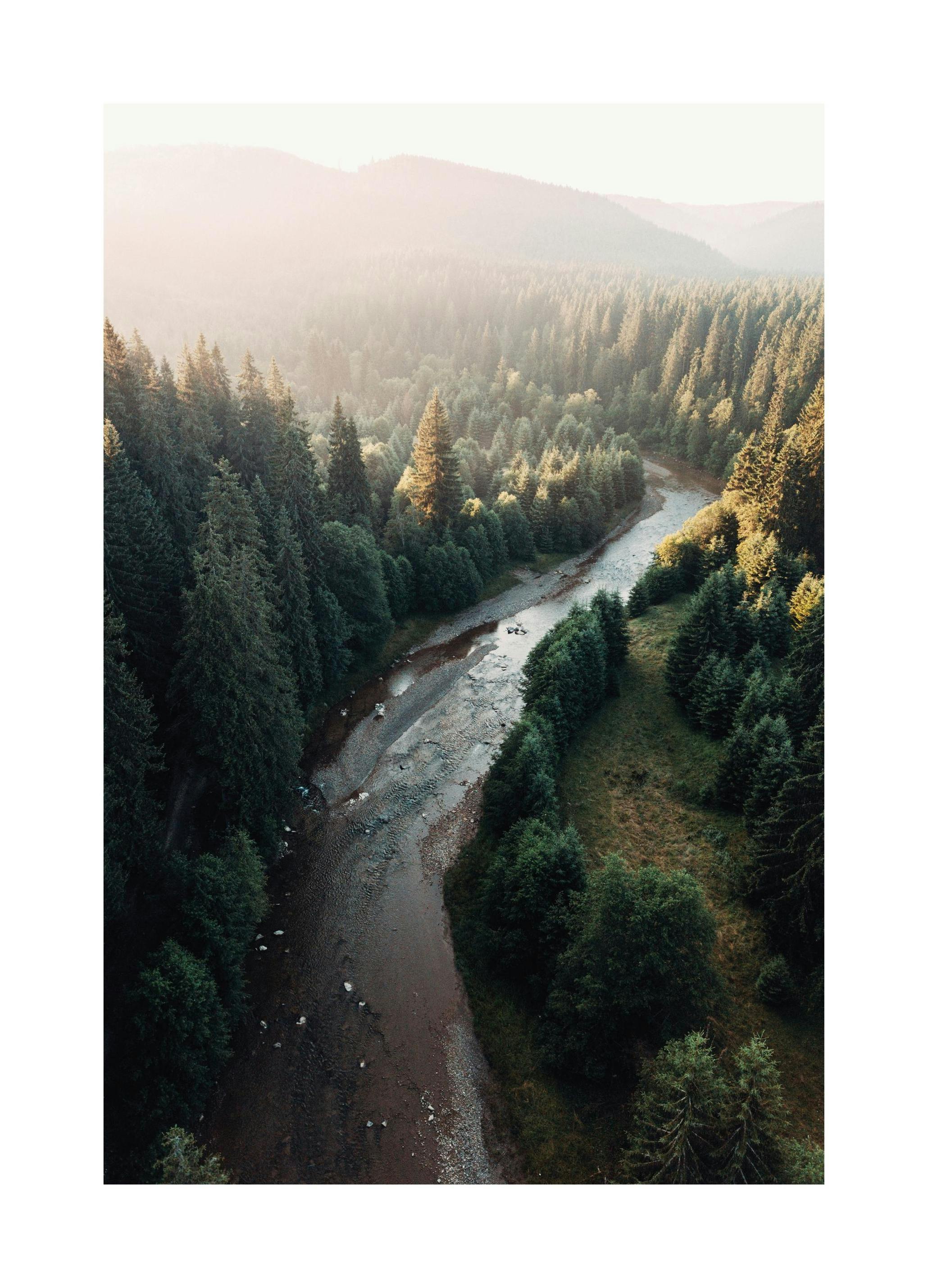 River in Forest Poster (30x40 cm)-Poster