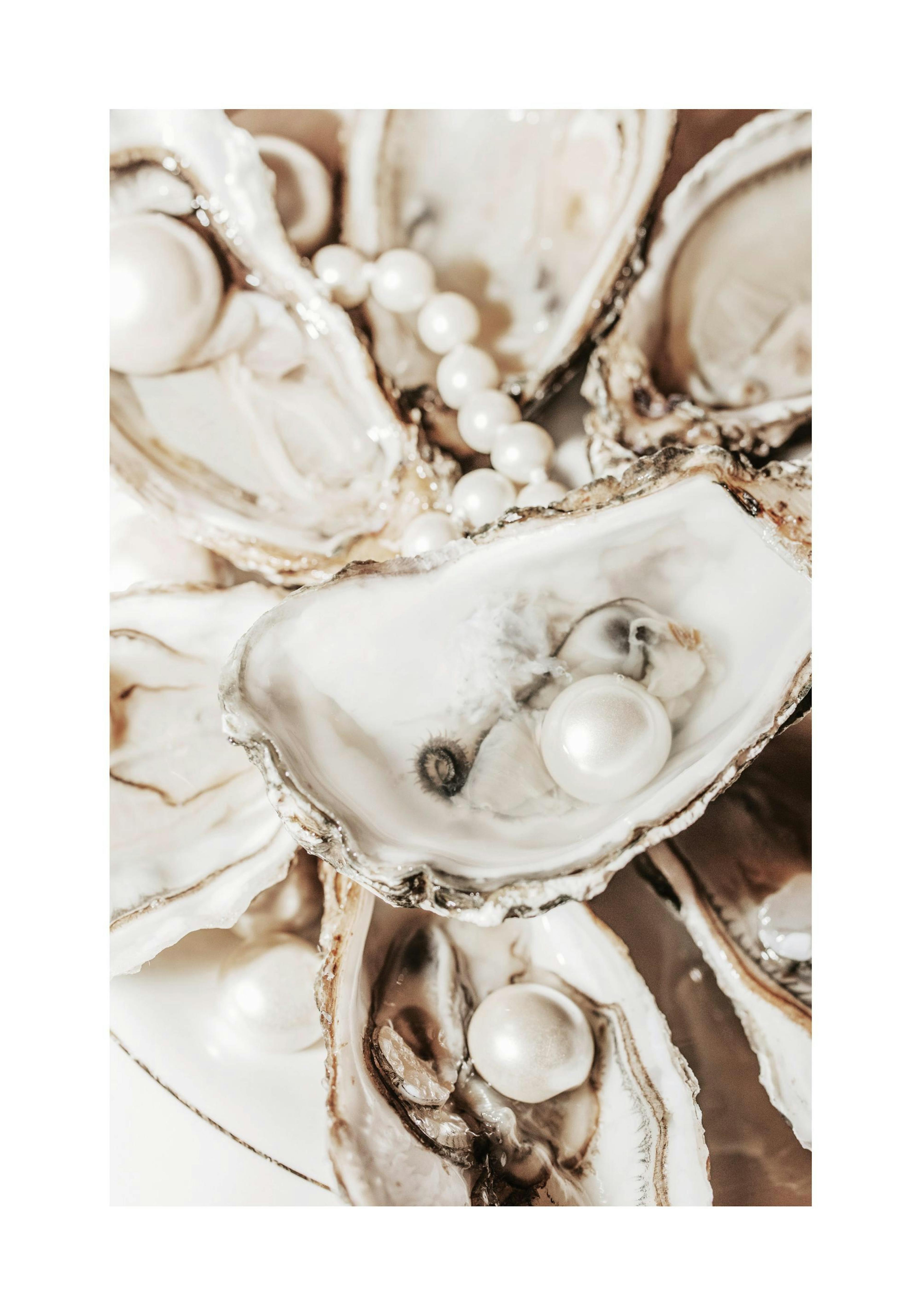 Póster de ostras con perlas brillantes en tonos beige para decoración de interiores