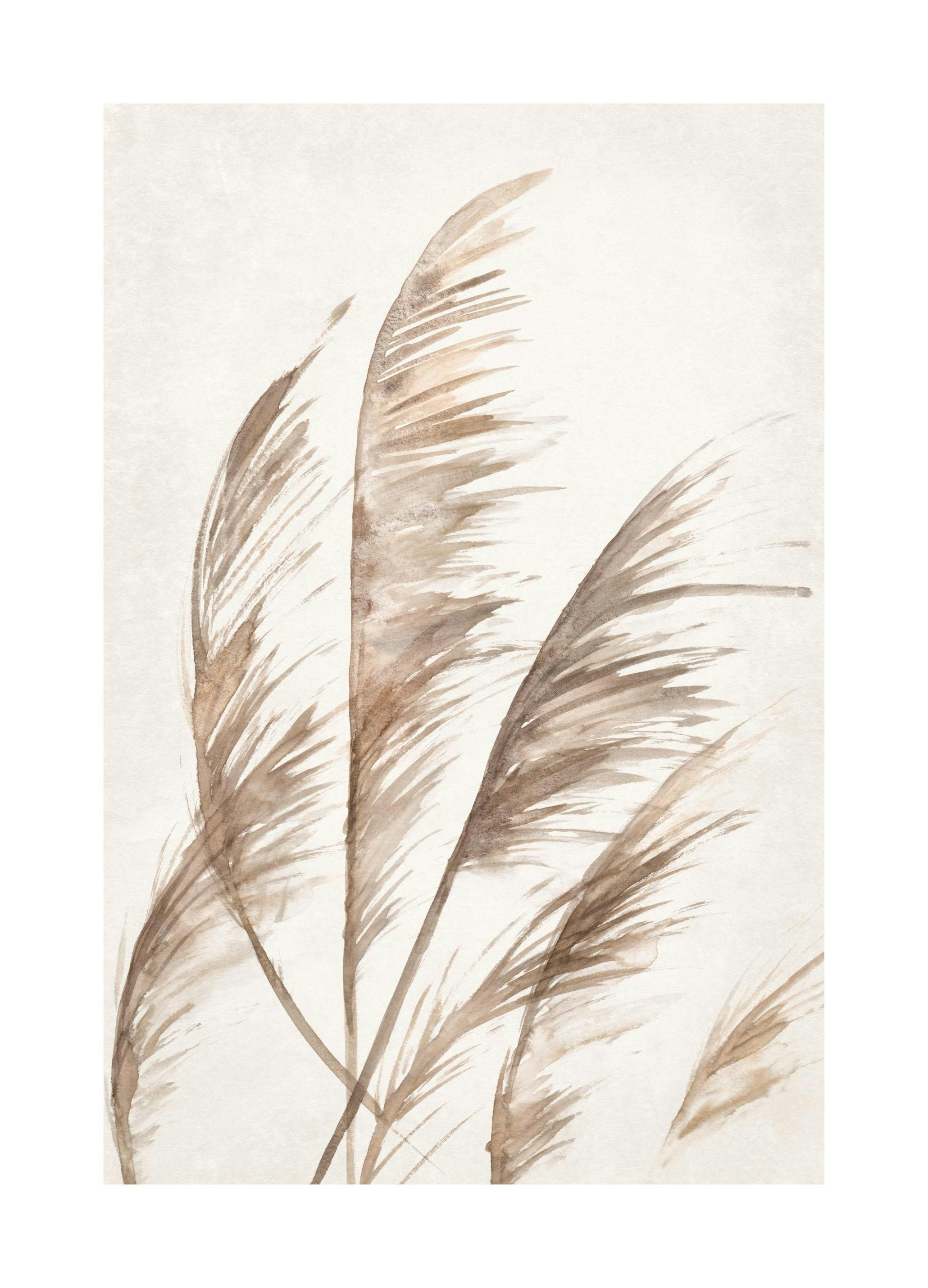 Watercolor Dried Grass Affiche (21x30 cm)