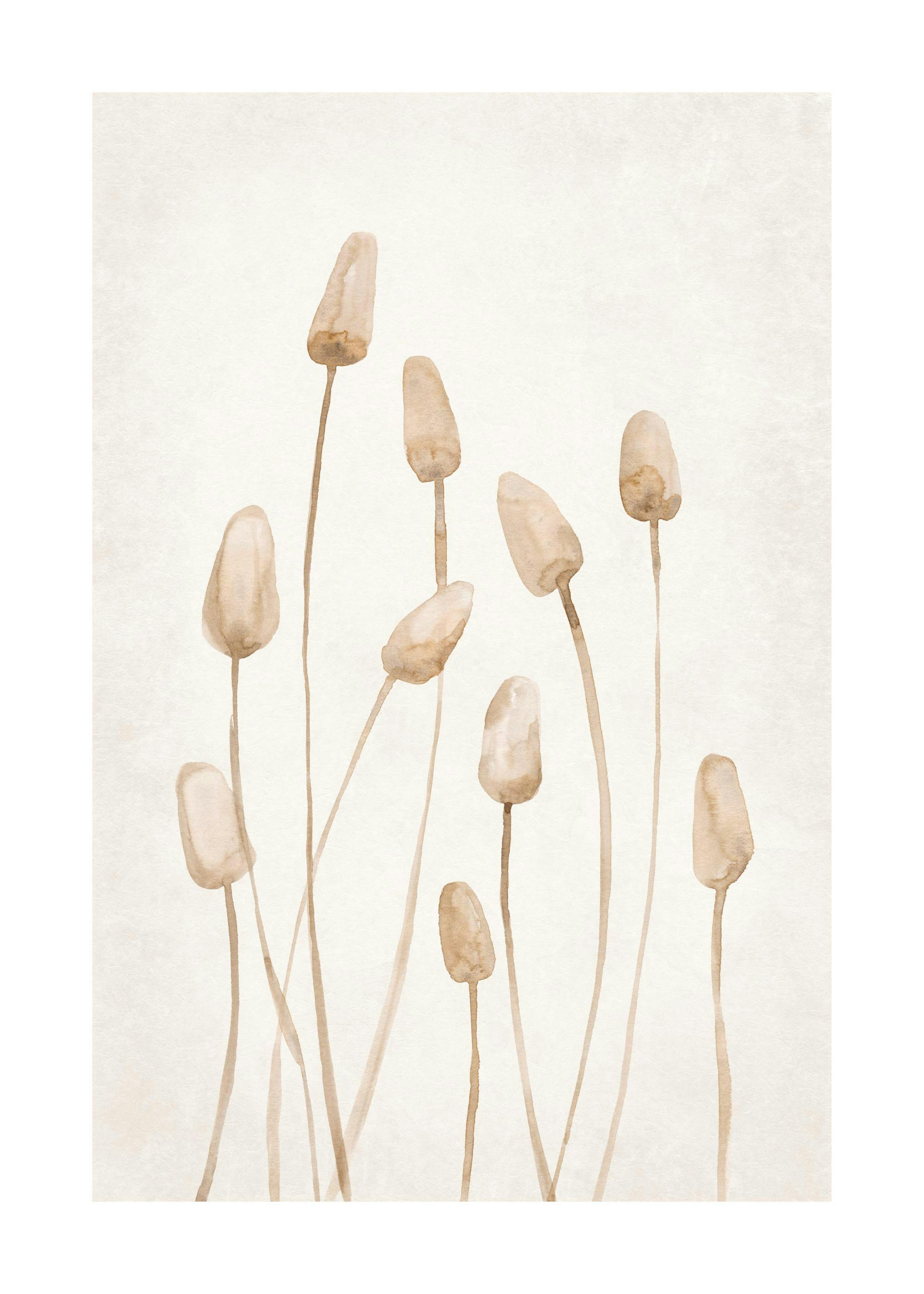 Affiche aquarelle de plantes séchées beiges sur fond clair