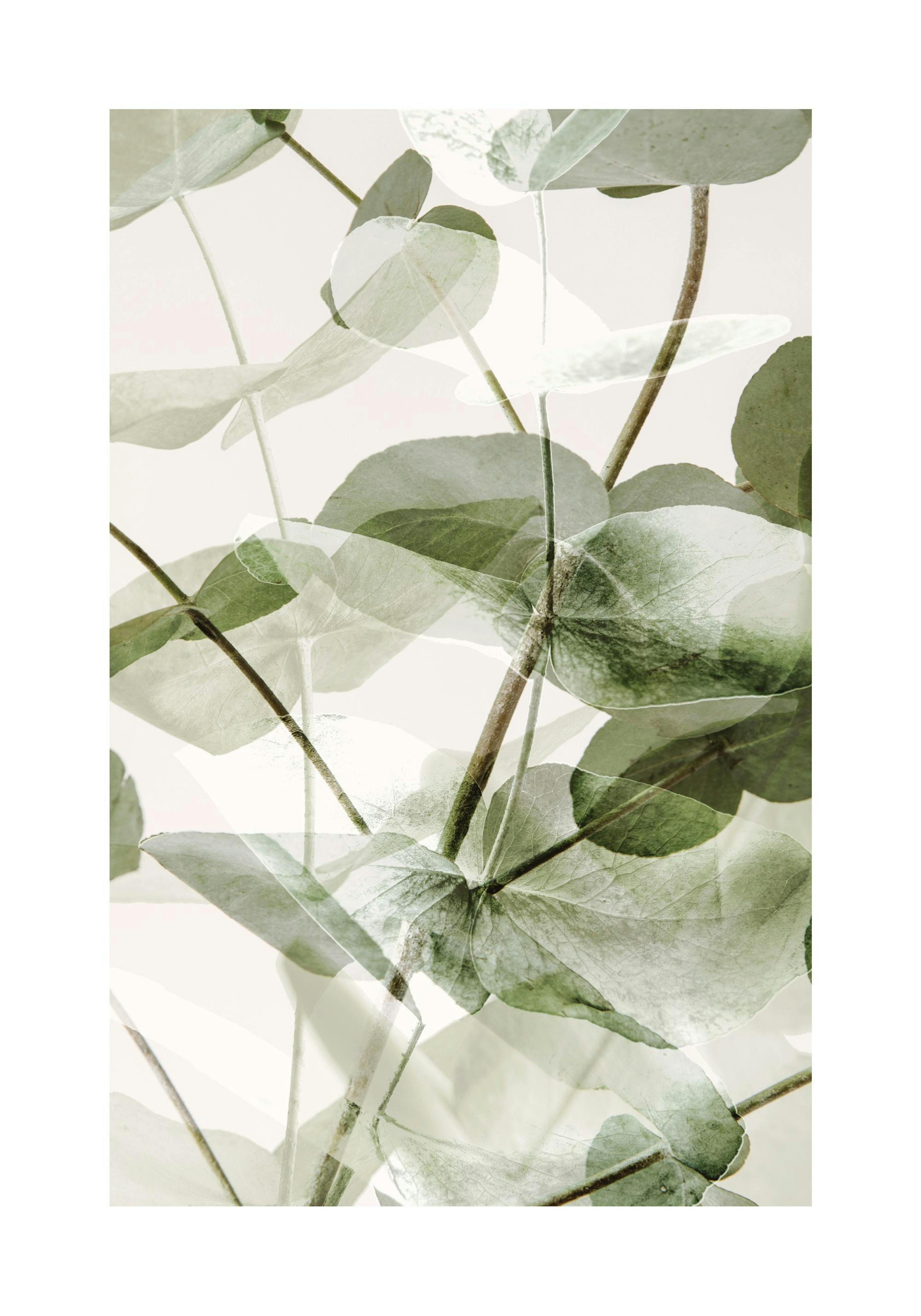 Product image: 1