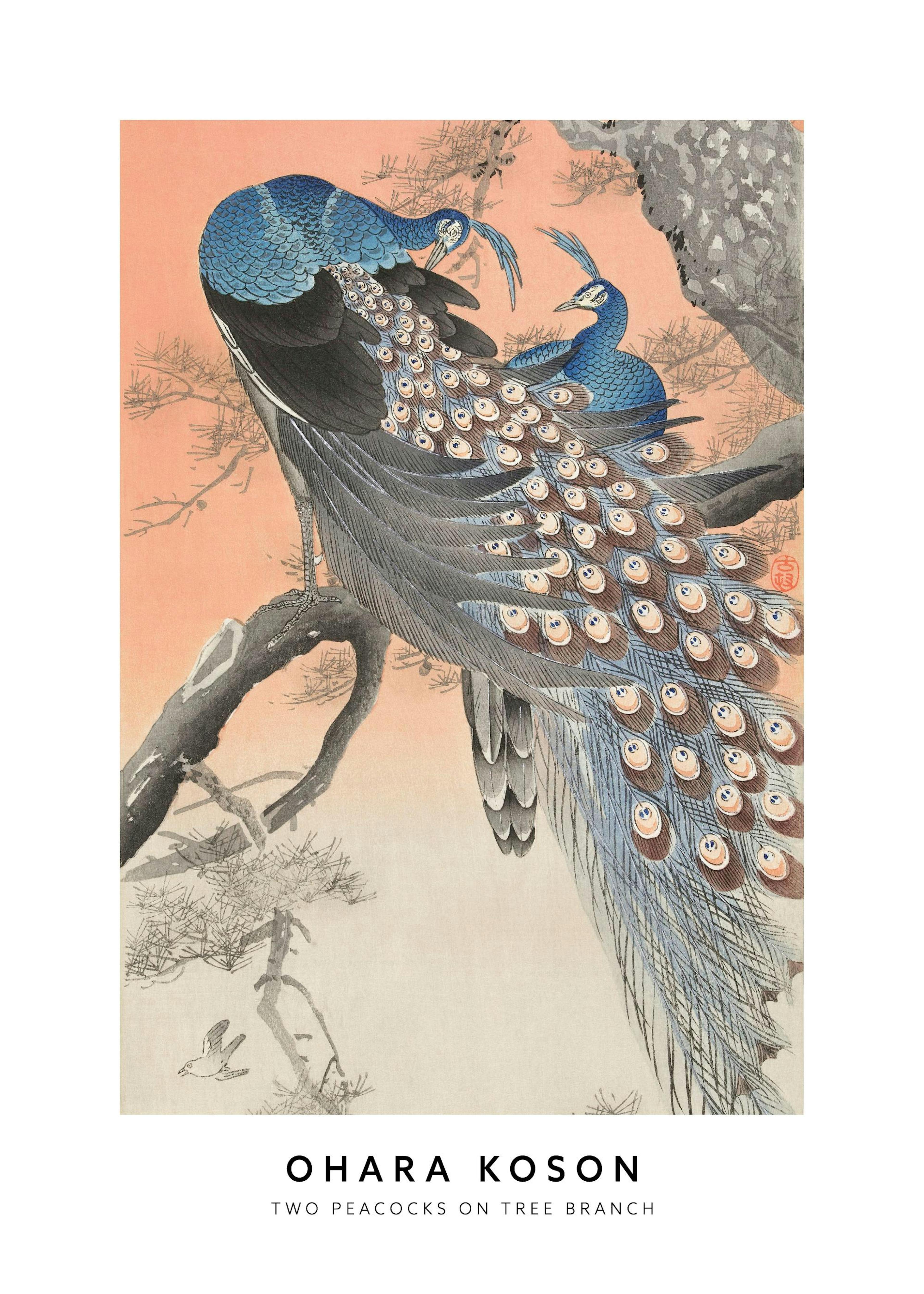 Ohara Koson - Two Peacocks on Tree Branch Plakat 0