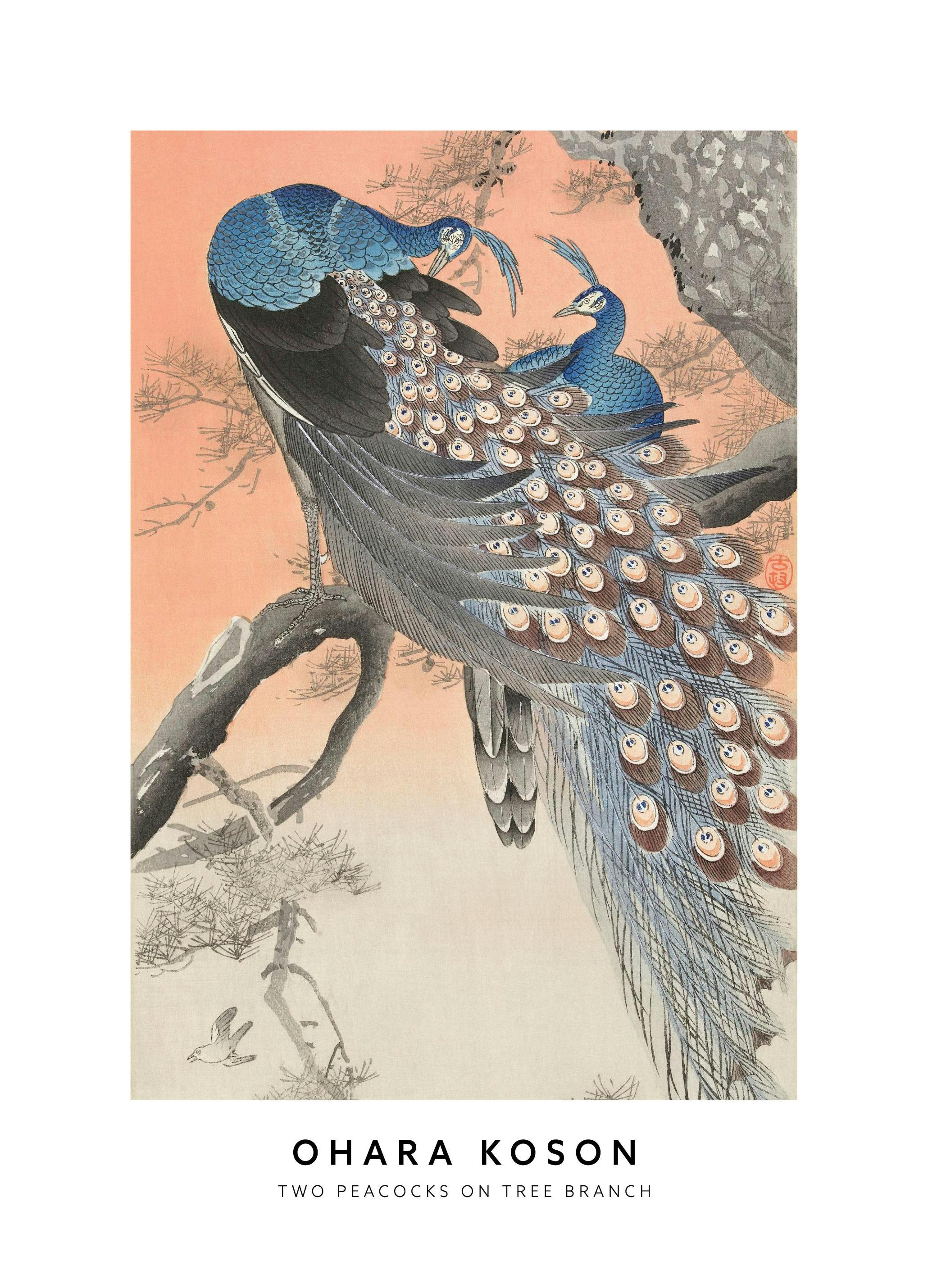 Ohara Koson - Two Peacocks on Tree Branch Poster (21x30 cm)