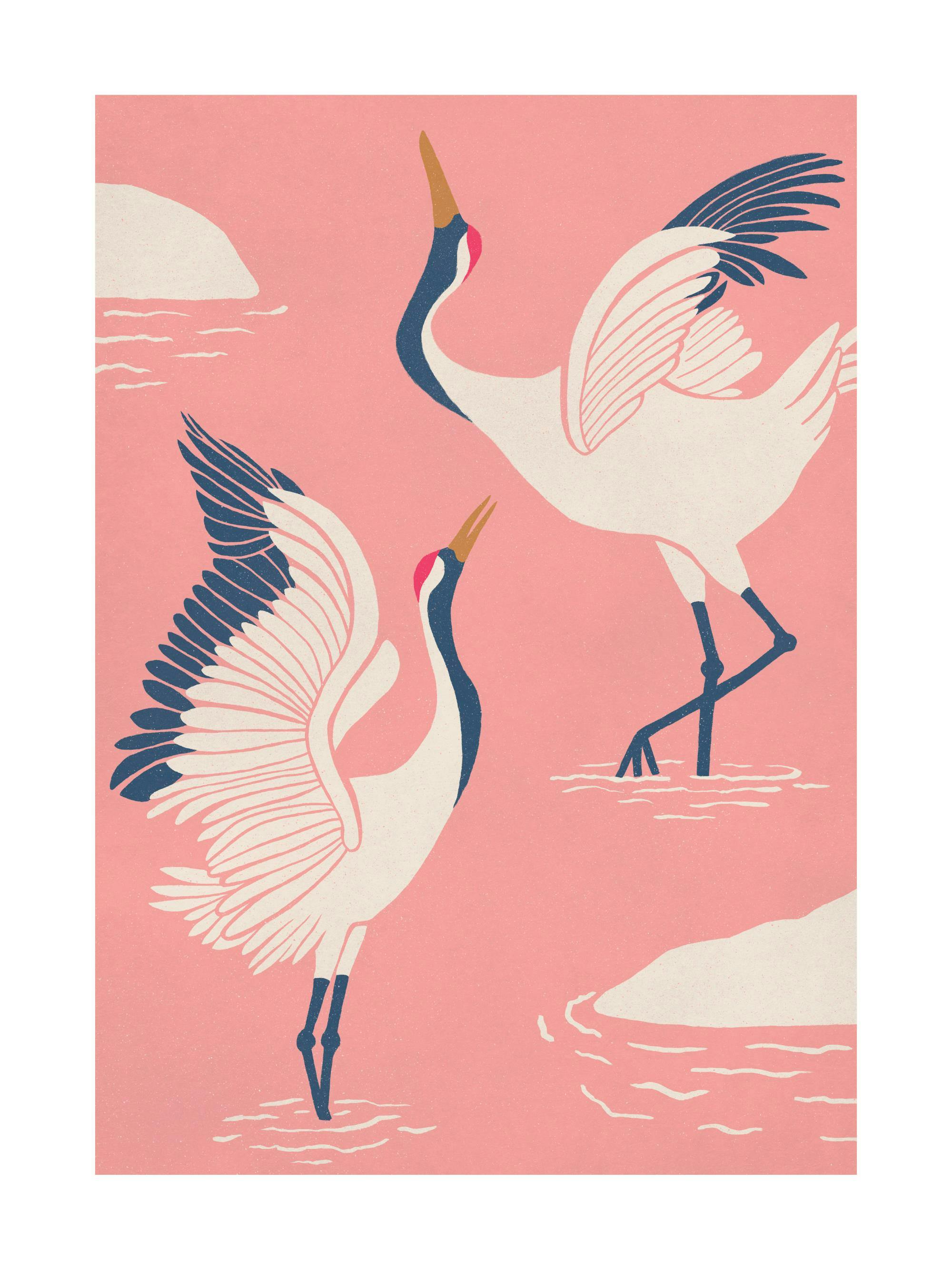 Póster de arte con dos grullas blancas danzando en agua, fondo rosa pastel, estilo japonés.