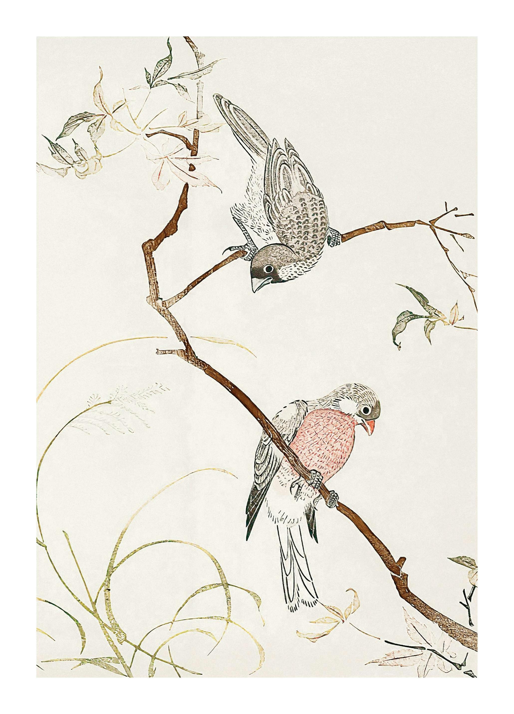 Japanese Seagulls Affiche (21x30 cm)