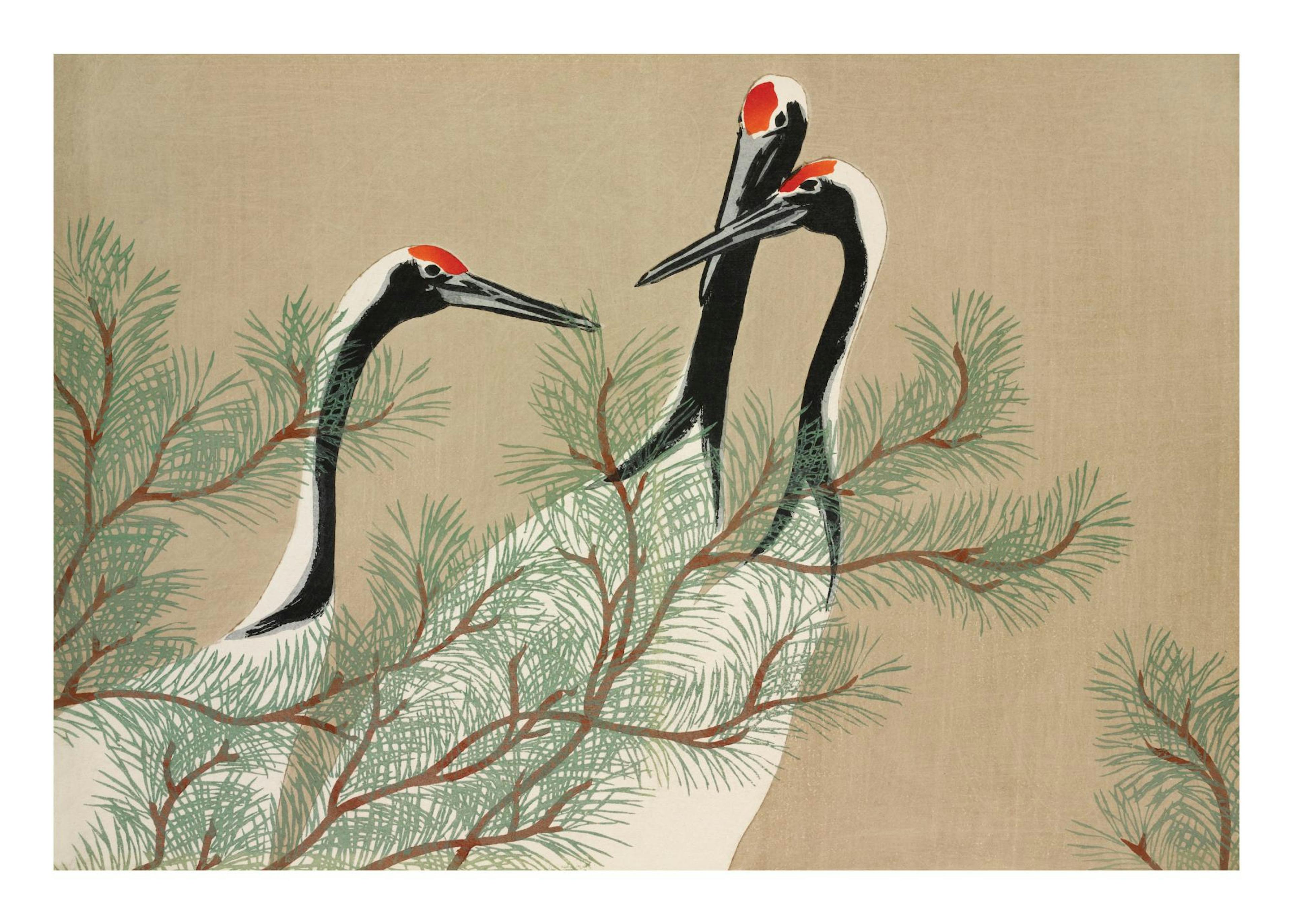 Kamisaka Sekka - Cranes from Momoyogusa Plakat 0