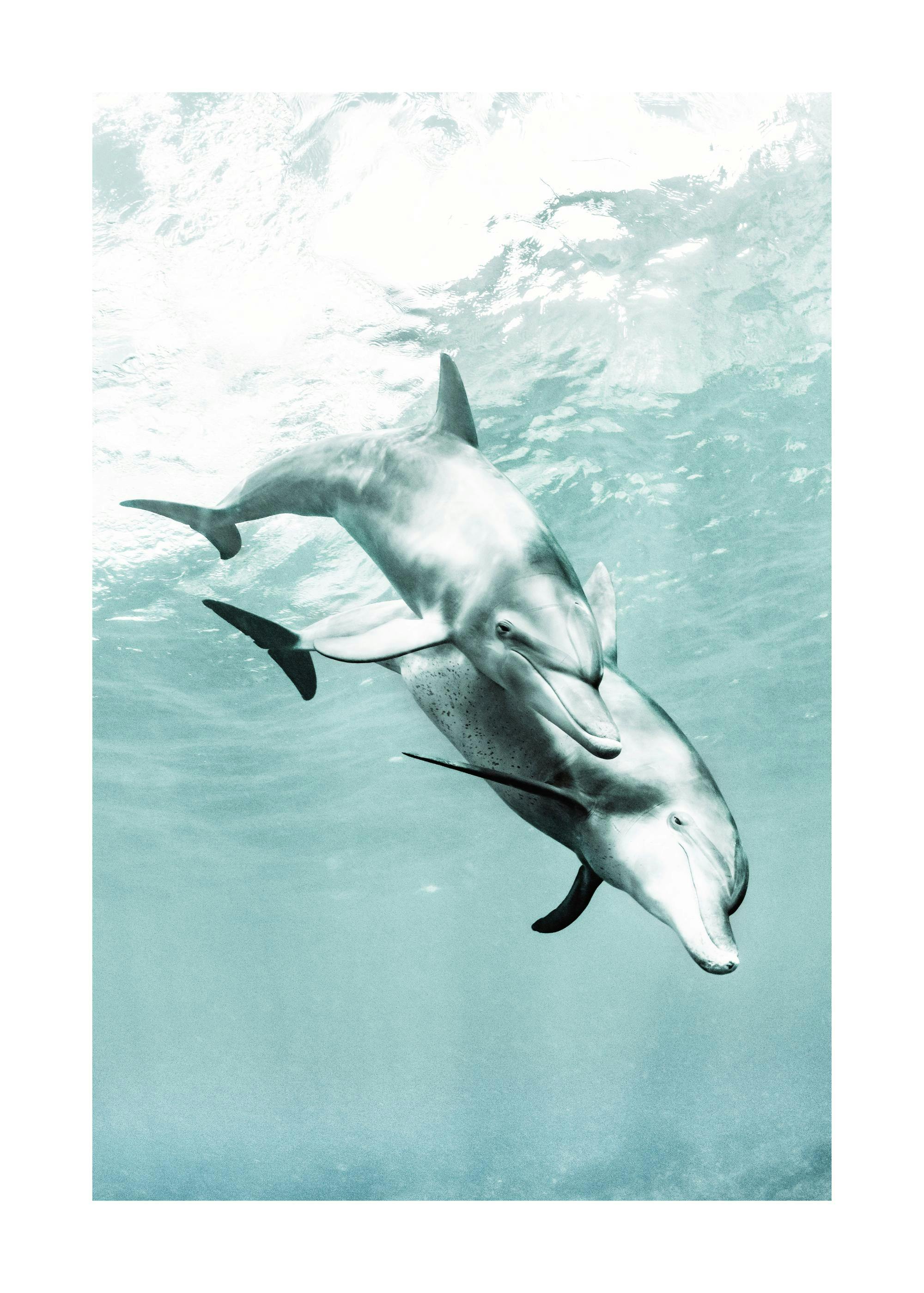 A print of two dolphins swimming underwater in blue water, hanging above a white marble side table with vases and books.
