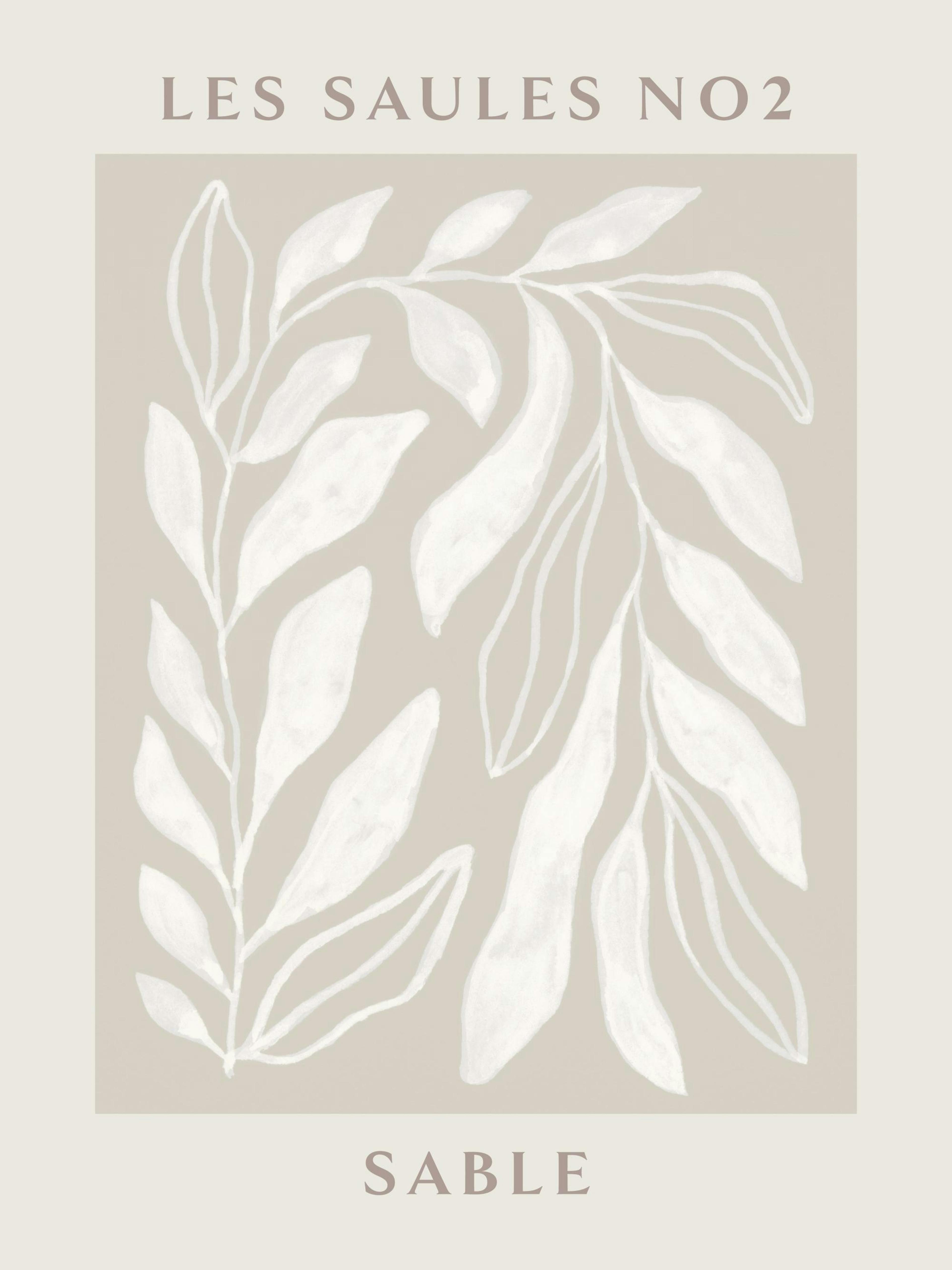 Les Saules No2 poster: white plant art with beige background, modern botanical print for home decor.