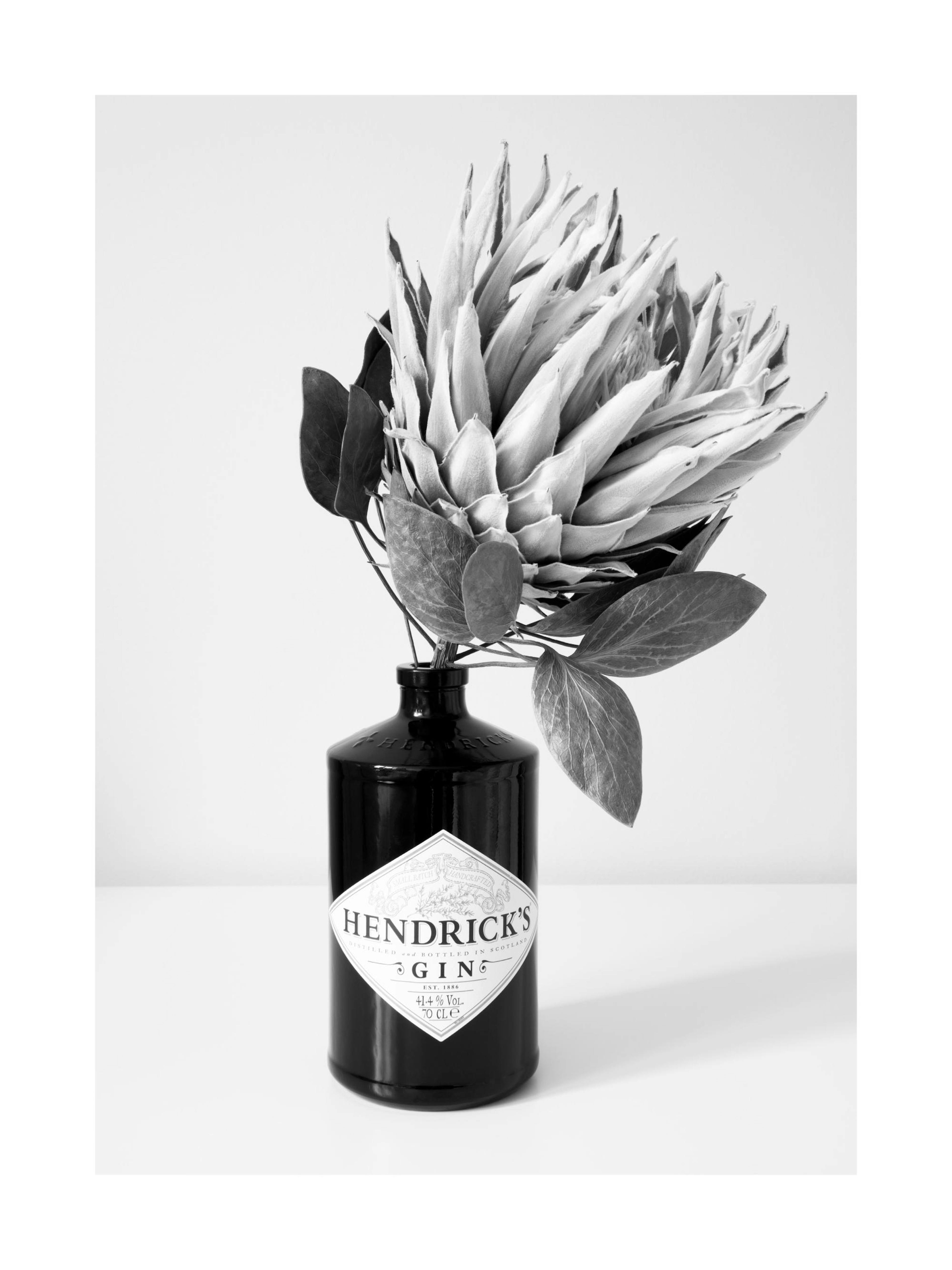 Product image: 1