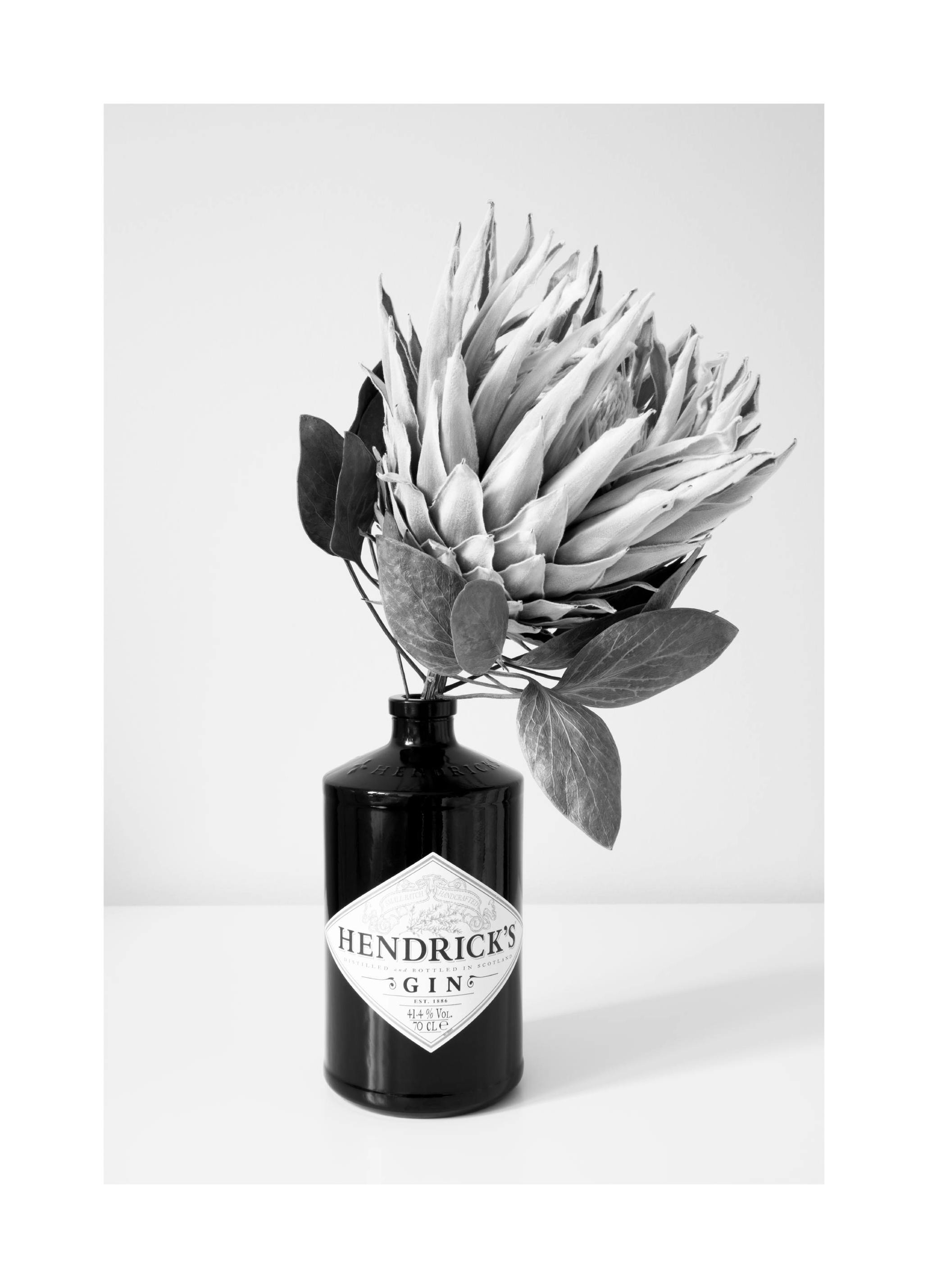 Gin & Flower Poster (30x40 cm)- Fotografia da preto e branco