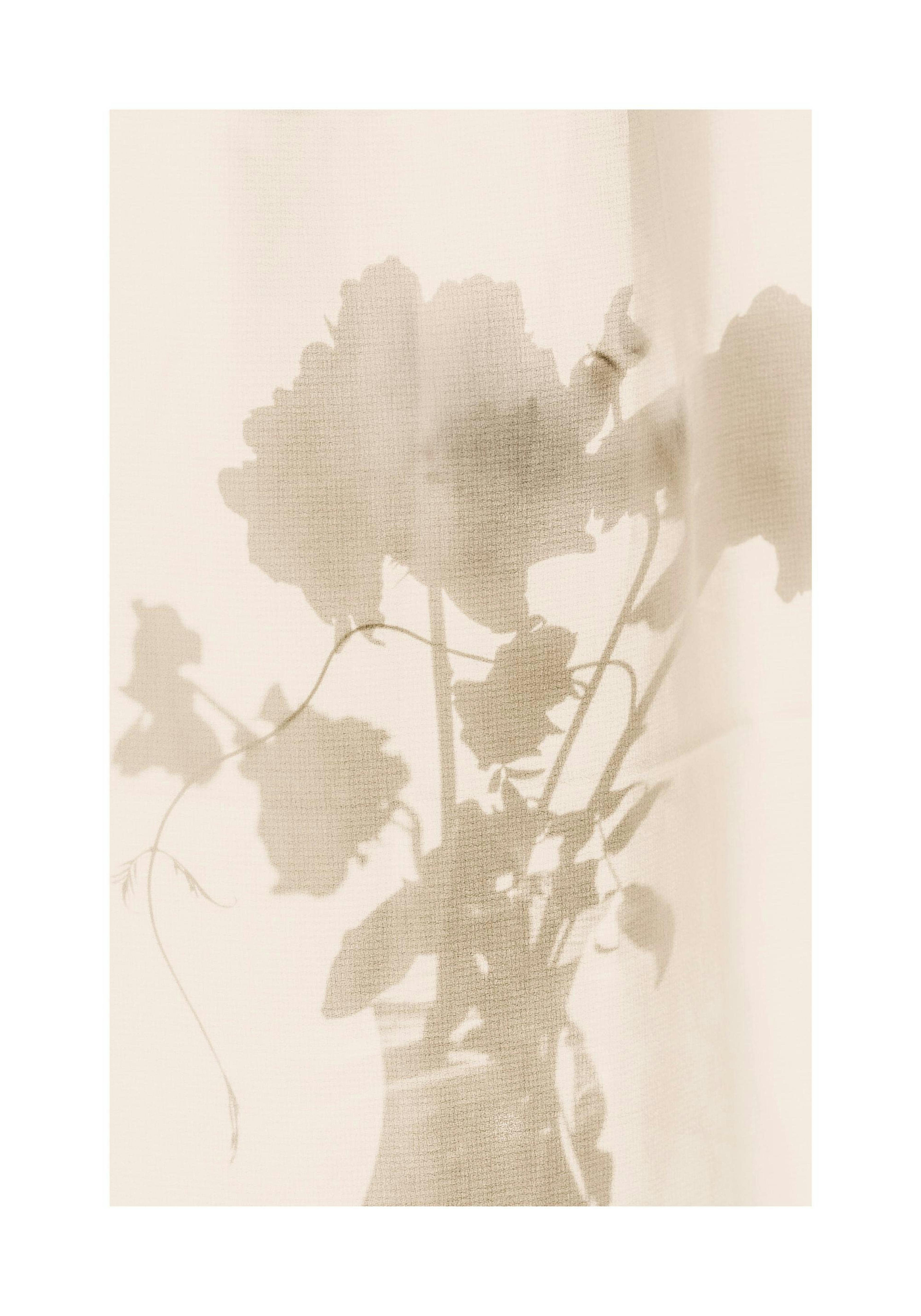 Beige flower shadow print, romantic floral poster, harmonious flower art print