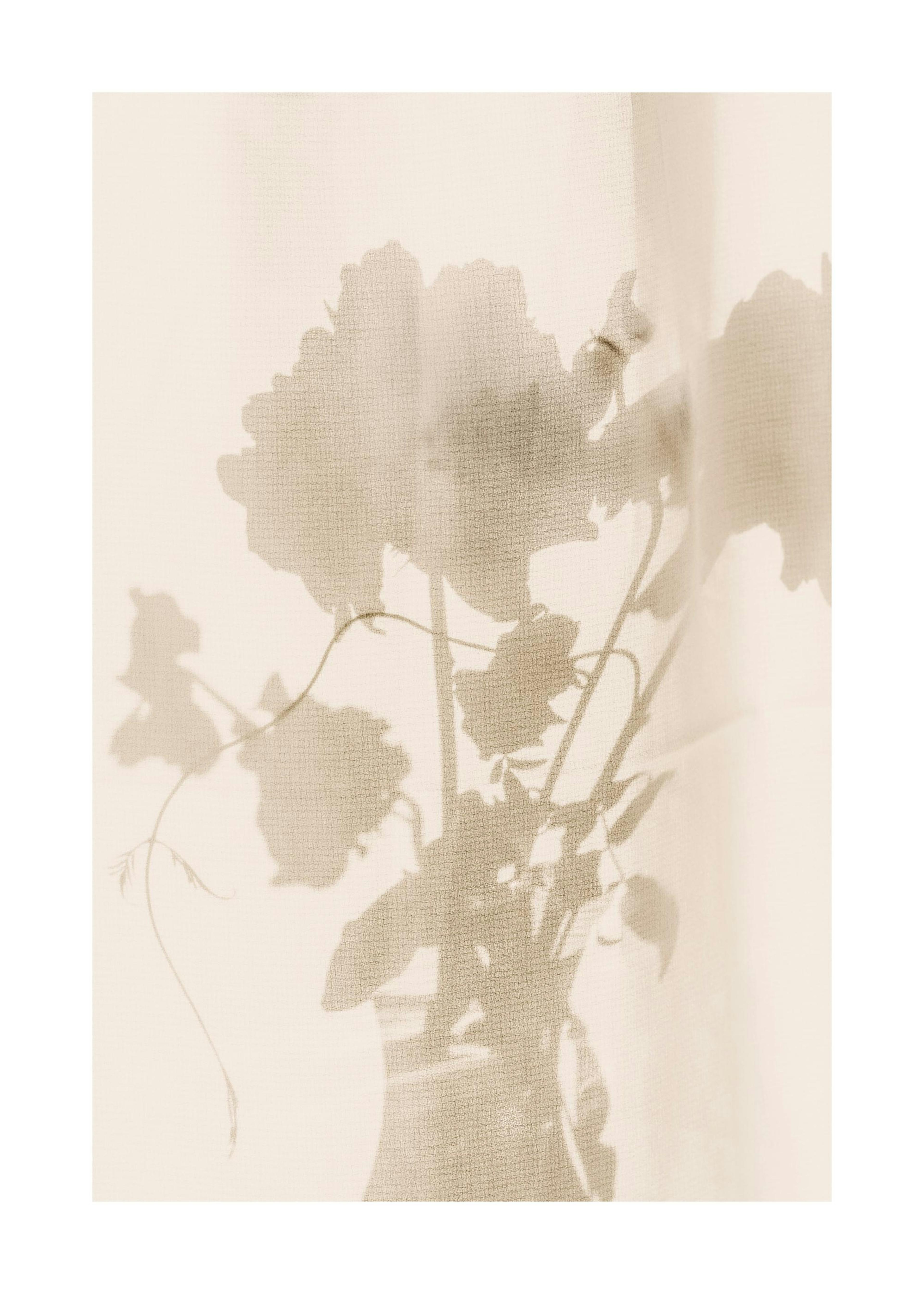 Flower Shade Print 0