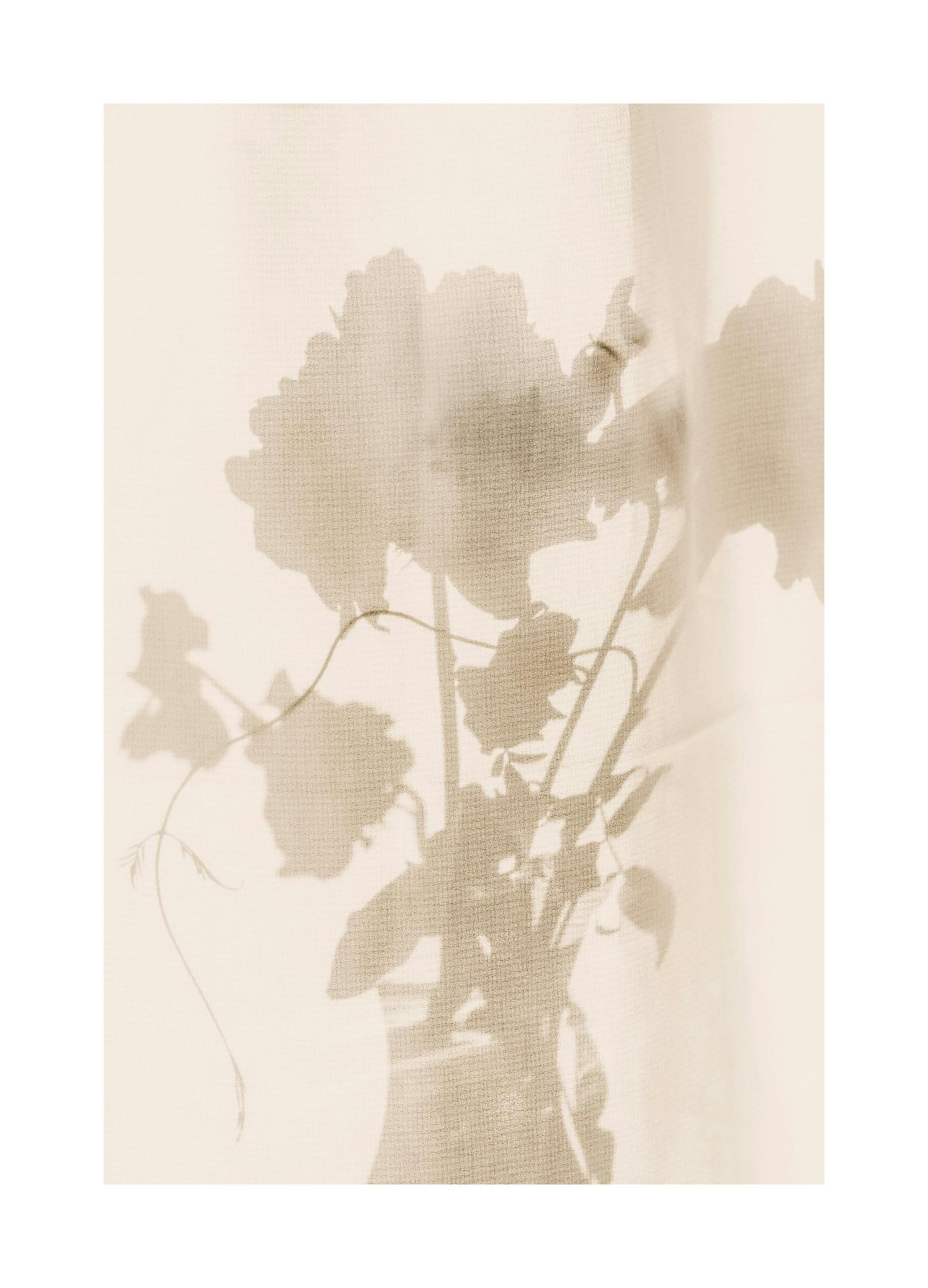 Flower Shade Plakat (50x70 cm) - Plakater > Botaniske plakater > Blomsterplakater