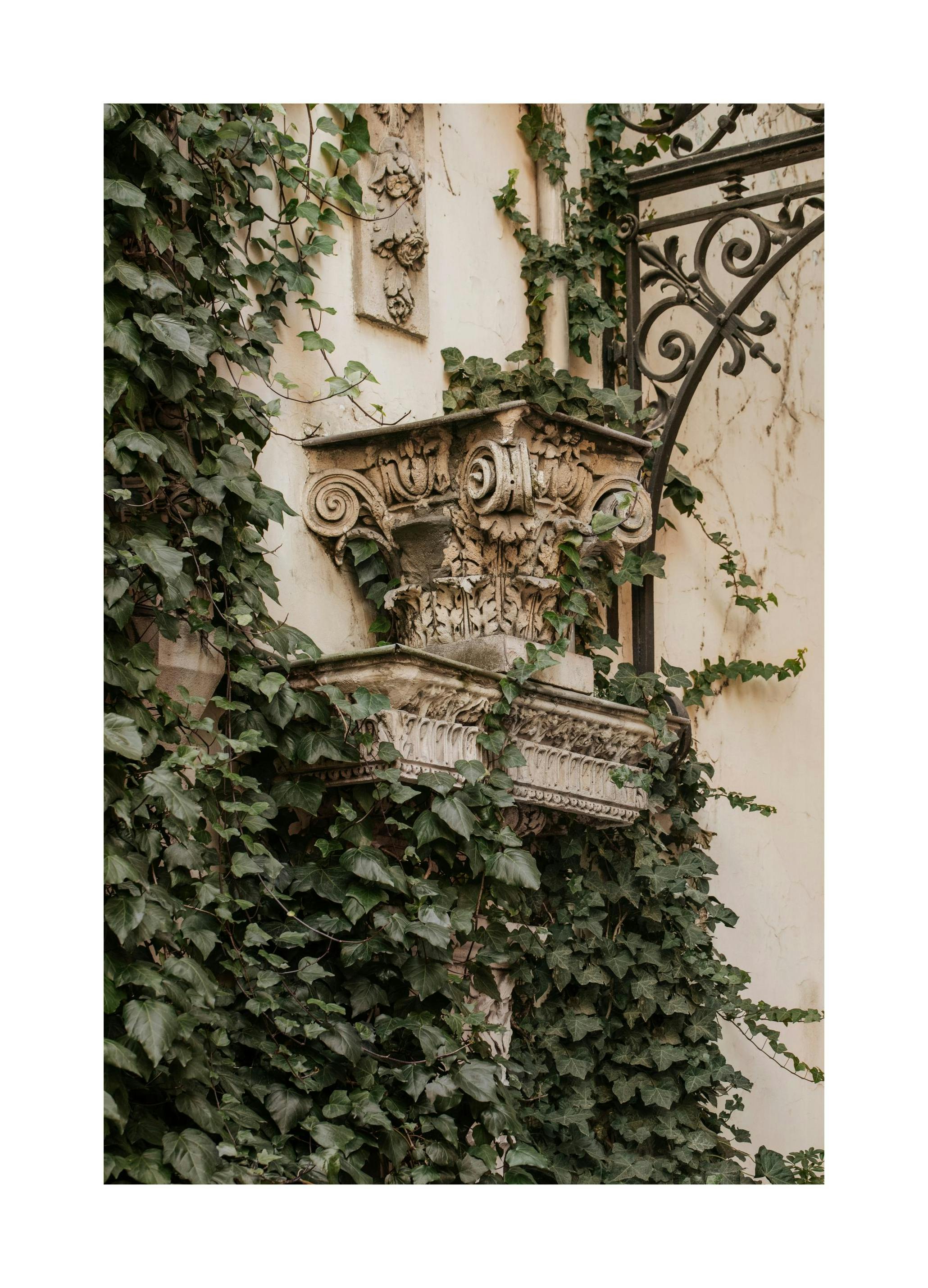 Lush Facade Poster (30x40 cm)