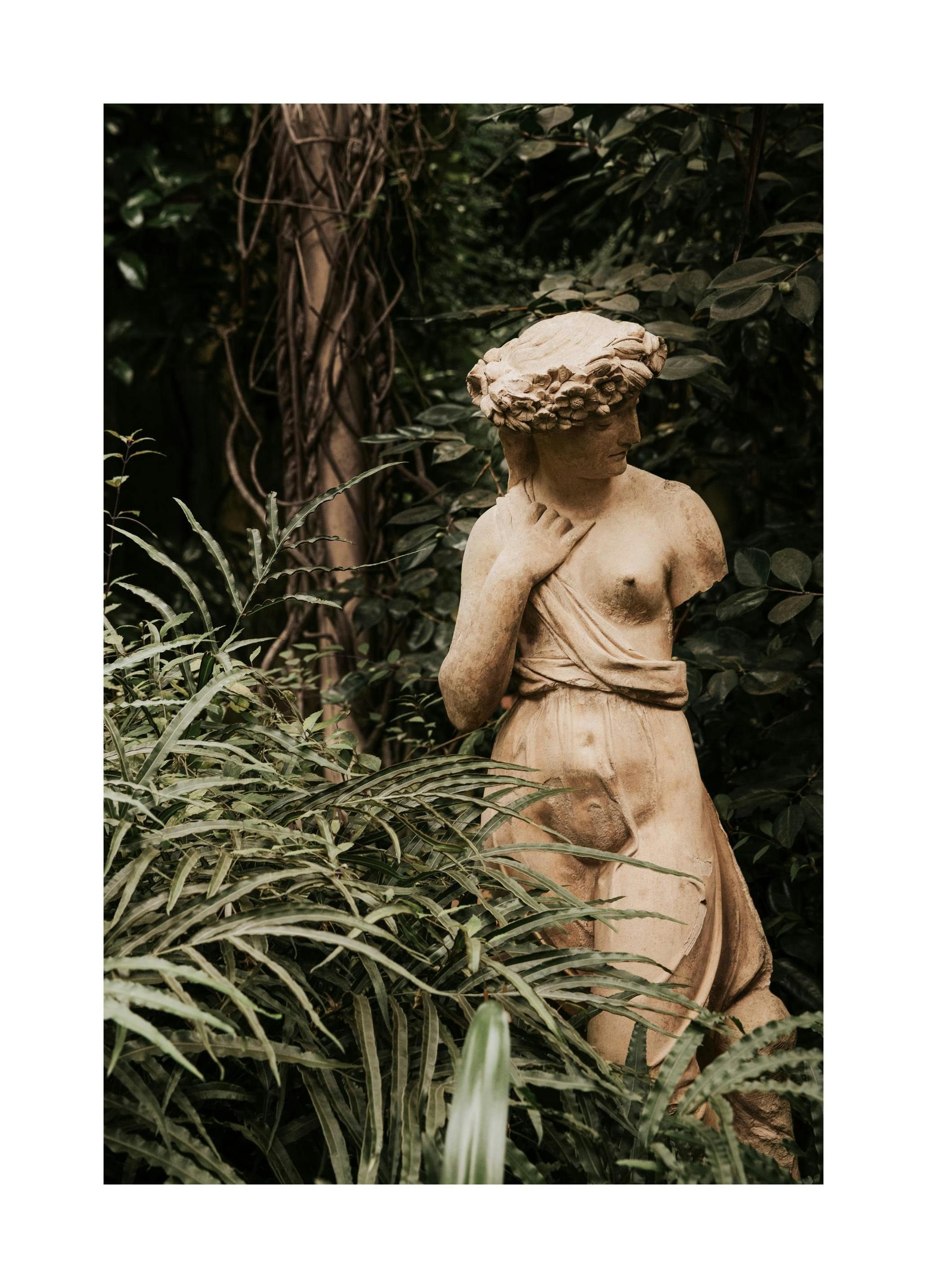 Overgrown Figure Plakat (50x70 cm)- Fotografia