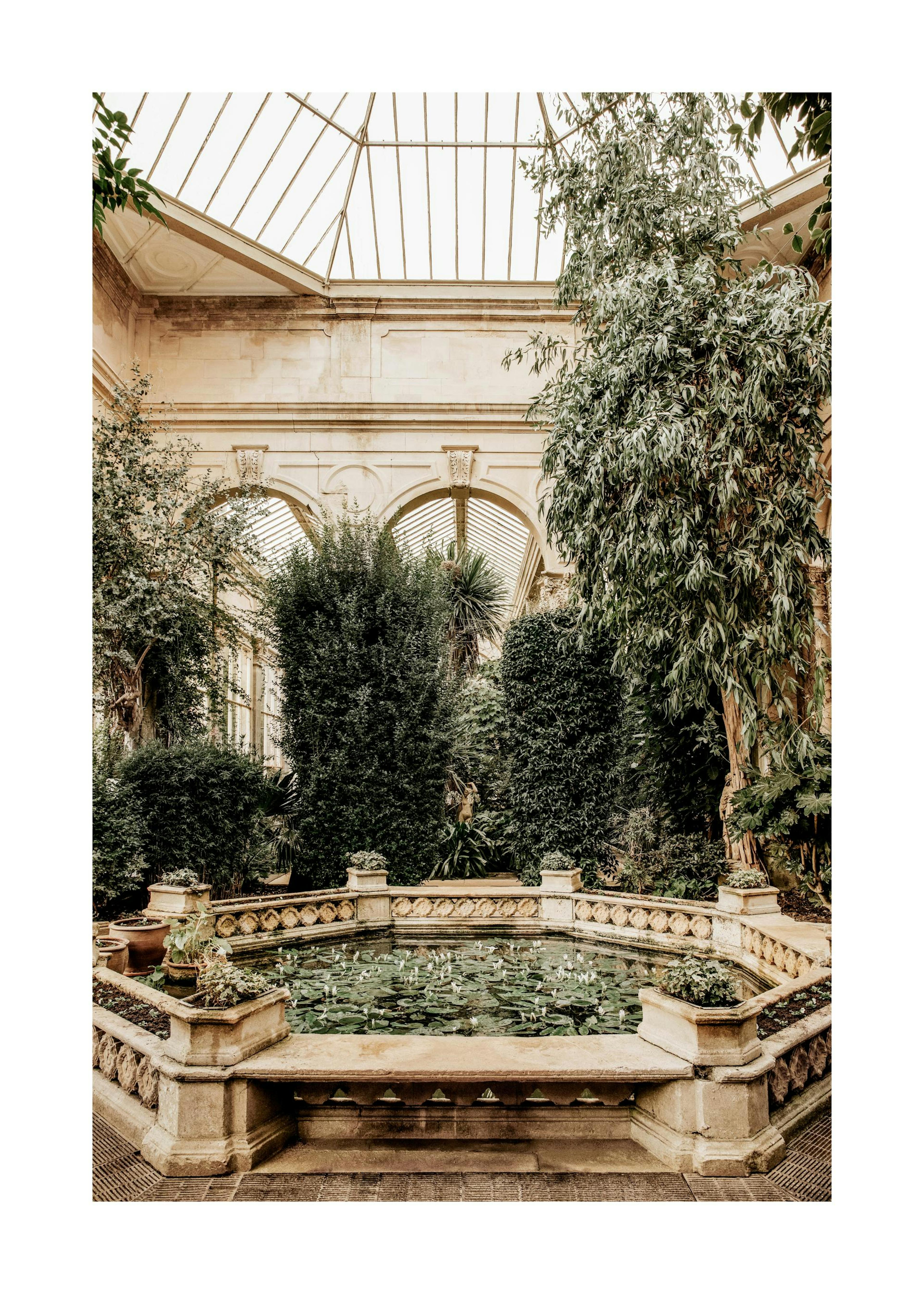 Water Lily Pond Plakat 0