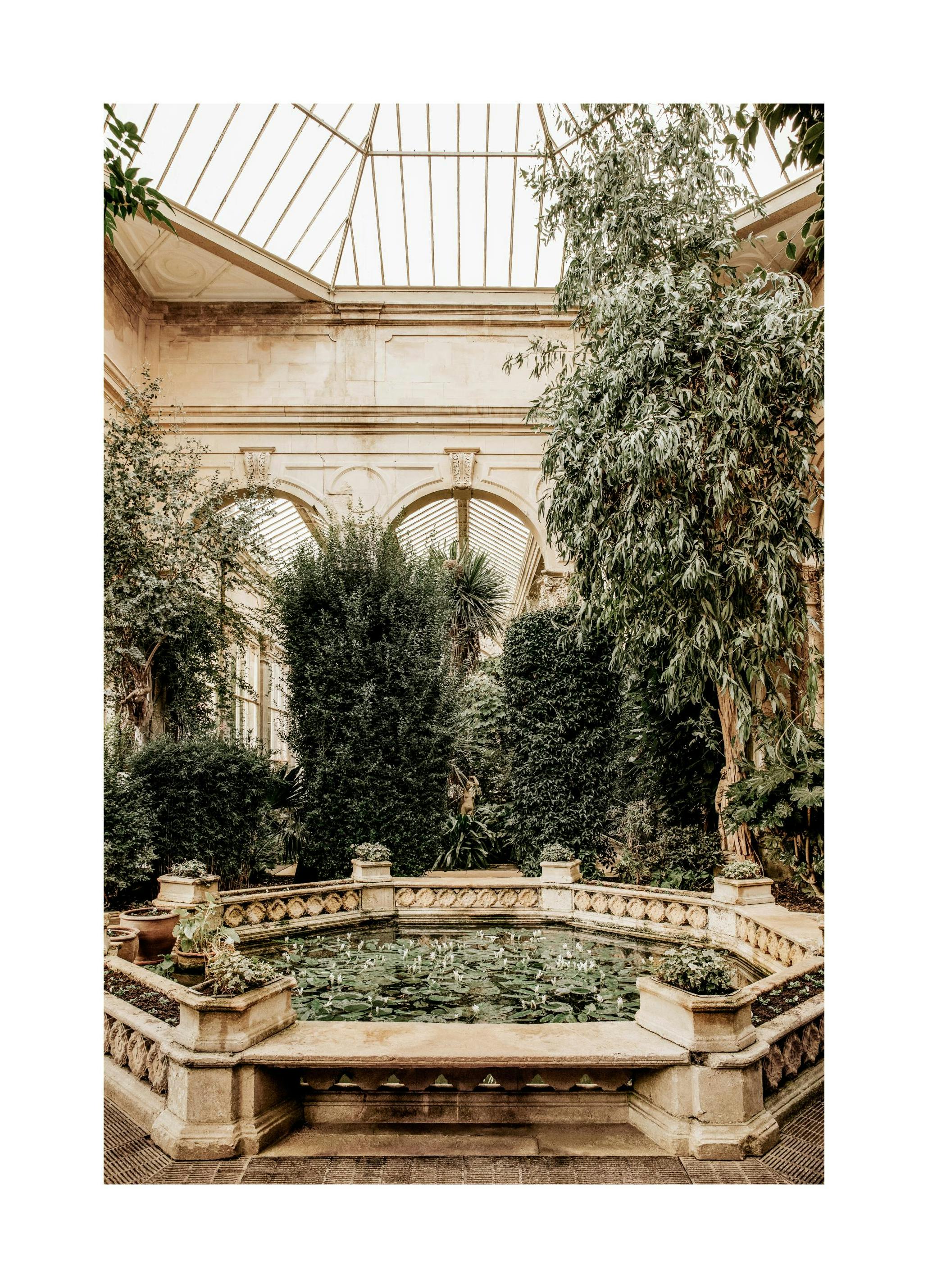 Water Lily Pond Poster (30x40 cm) - Architectuur