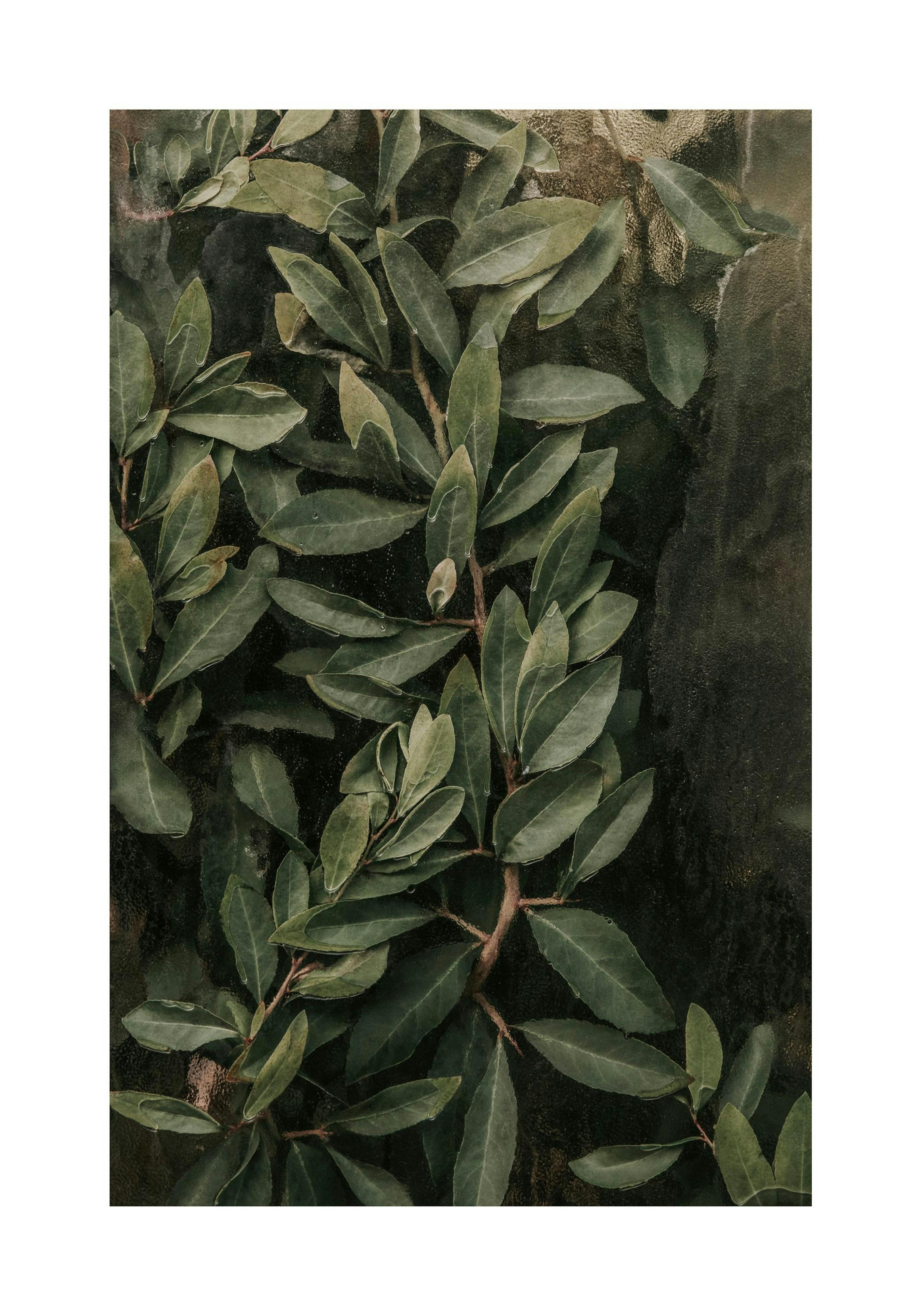 Product image: 1