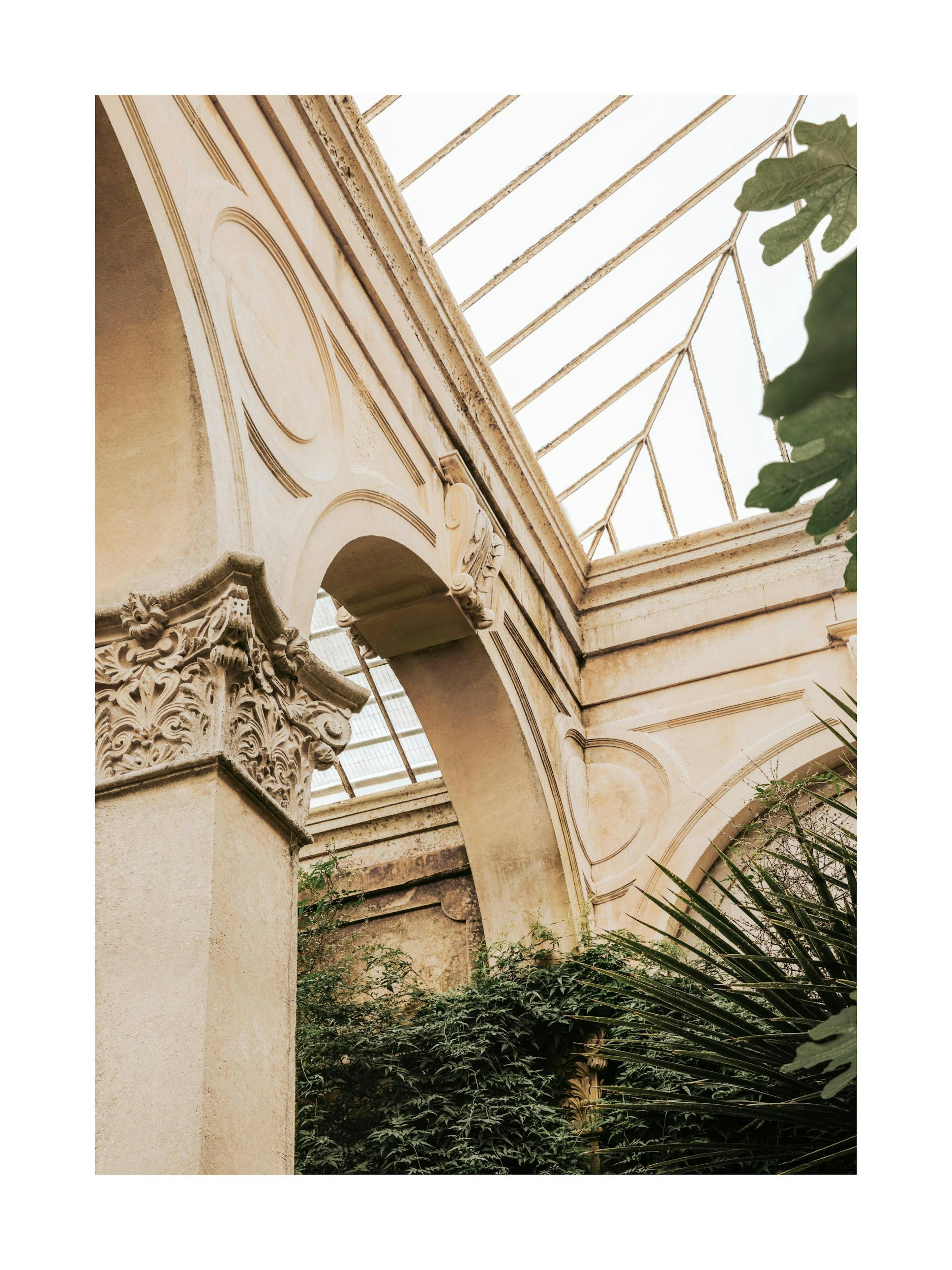 Glass roof of an orangery greenhouse photo print, with architectural details and green foliage poster