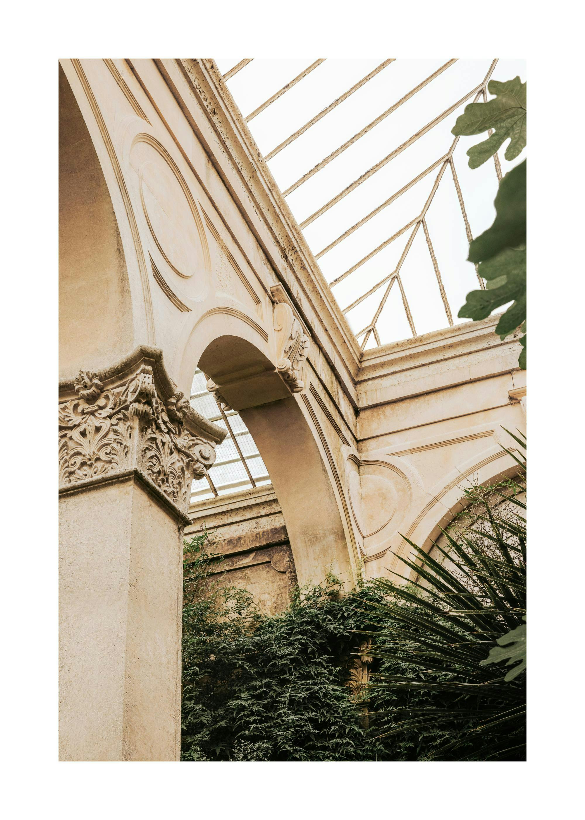 Glass roof of an orangery greenhouse photo print, with architectural details and green foliage poster