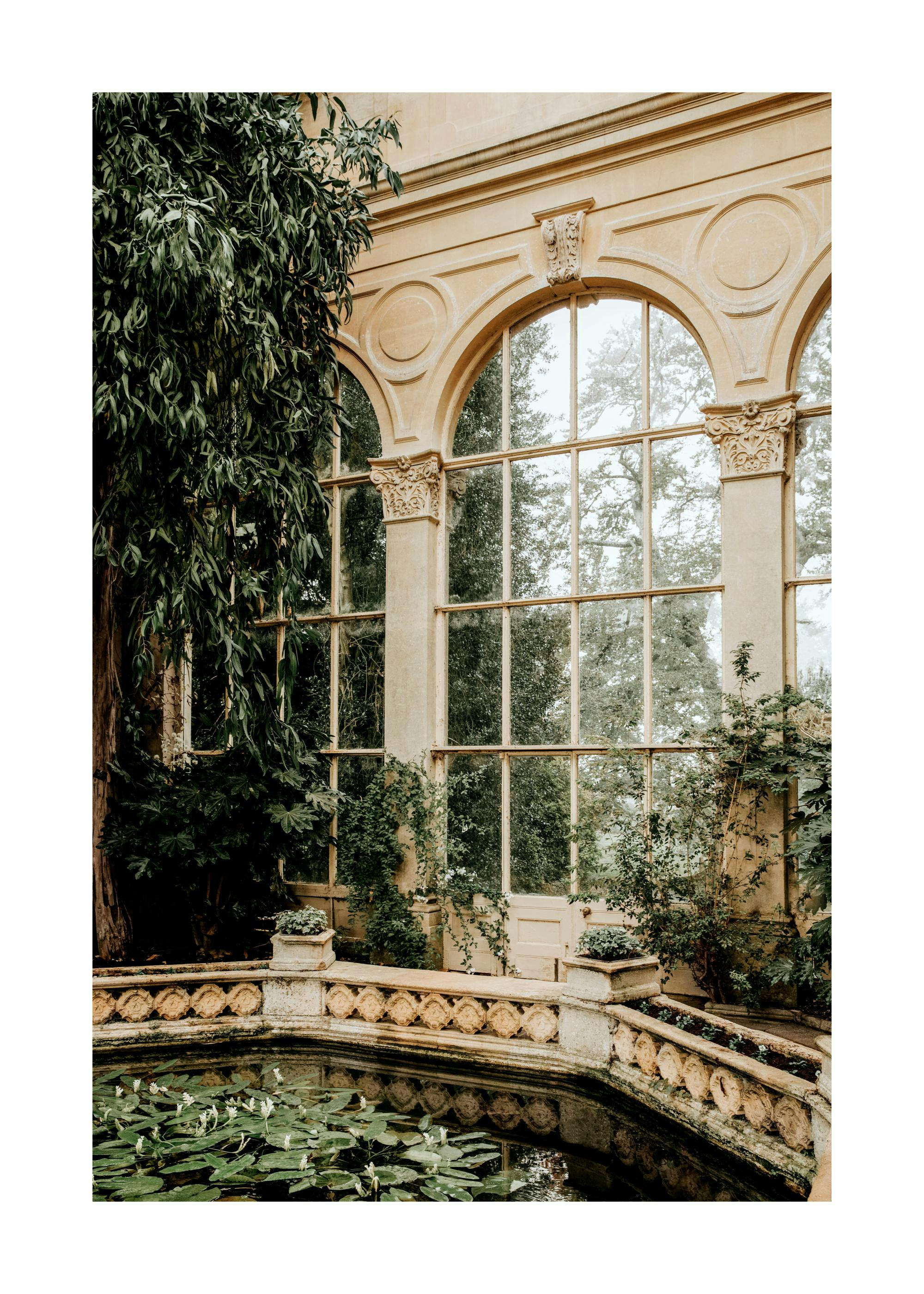 Photography print of a pond with lily pads inside a grand conservatory with arched windows and lush greenery.
