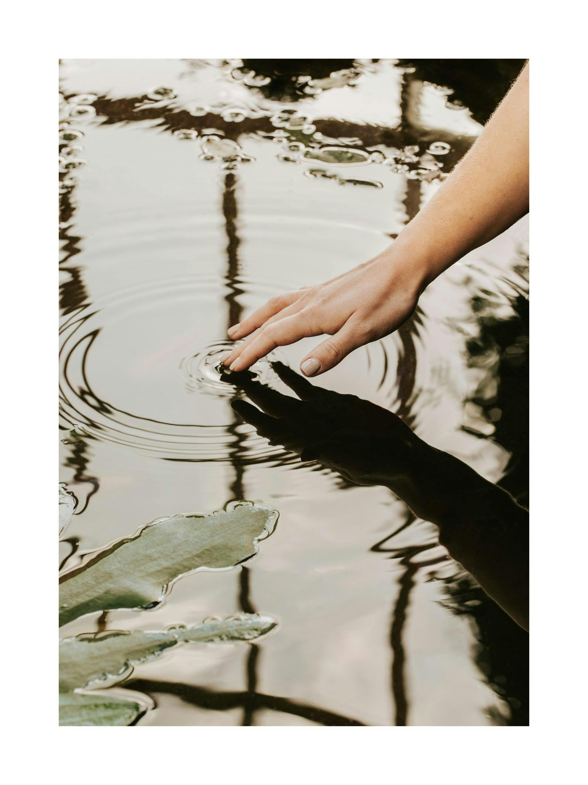 Mano tocando agua tranquila, creando suaves ondas. Reflejos de luz y hojas flotantes.
