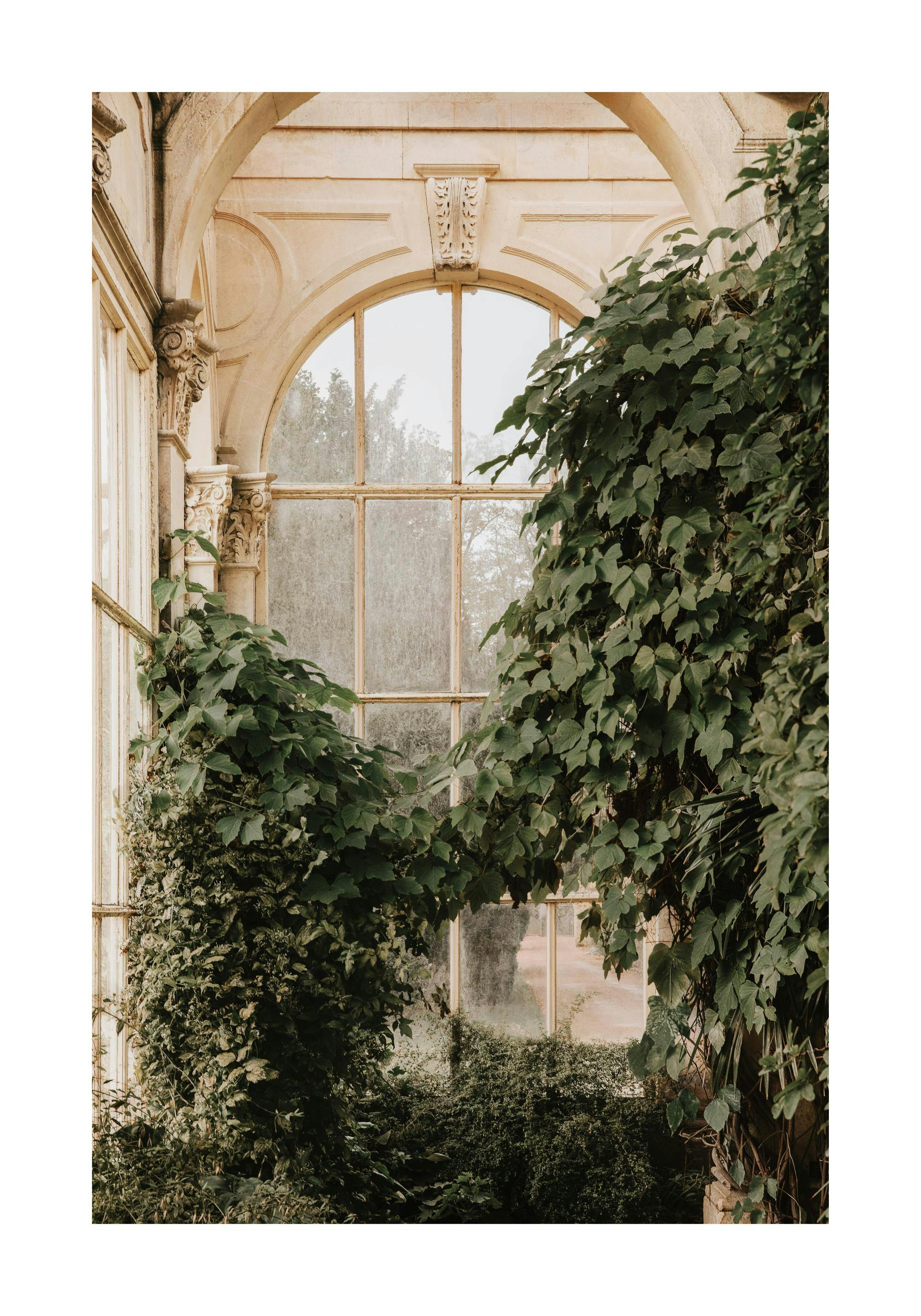 Orangeri med valvformade fönster täckta av gröna övervuxna växter som murgröna, i en varm, naturlig stil.