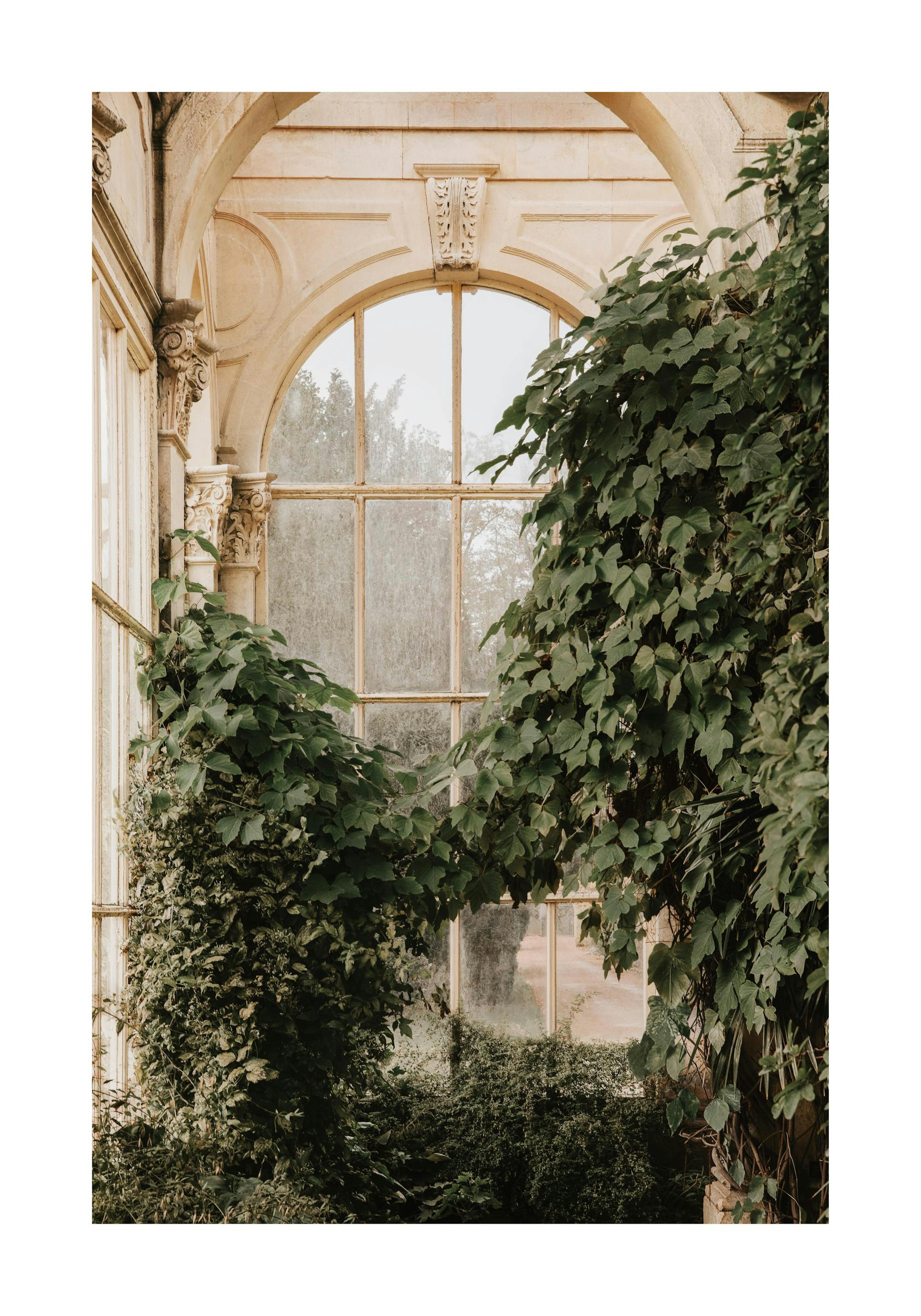 Inside Orangery Plakat 0