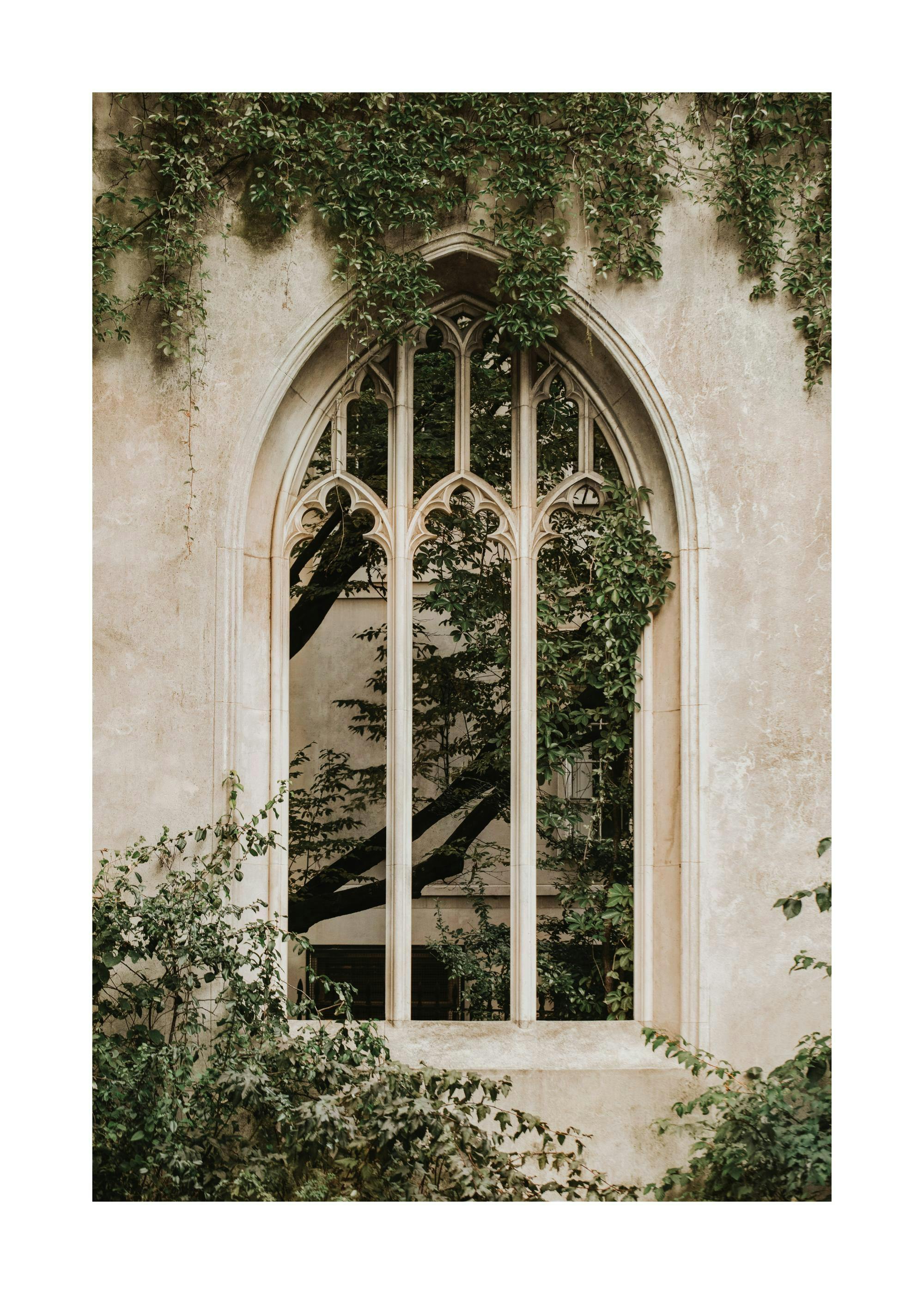 Fotografia de uma janela rústica com plantas trepadeiras e folhagem verde luxuriante, estilo natural e orgânico.