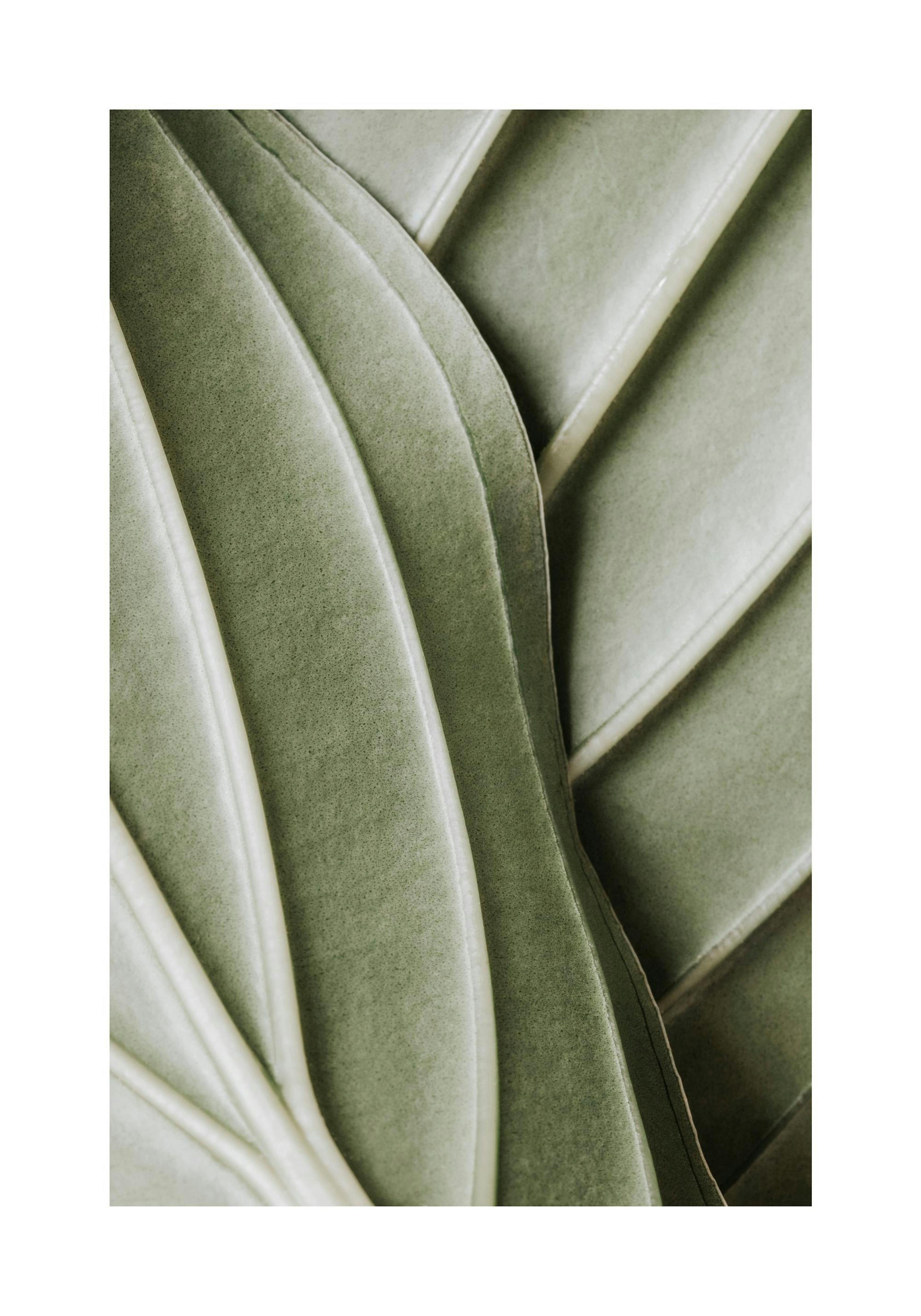 Gedetailleerde close-up van organische groene bladvormen, natuurlijke textuur, botanische poster.