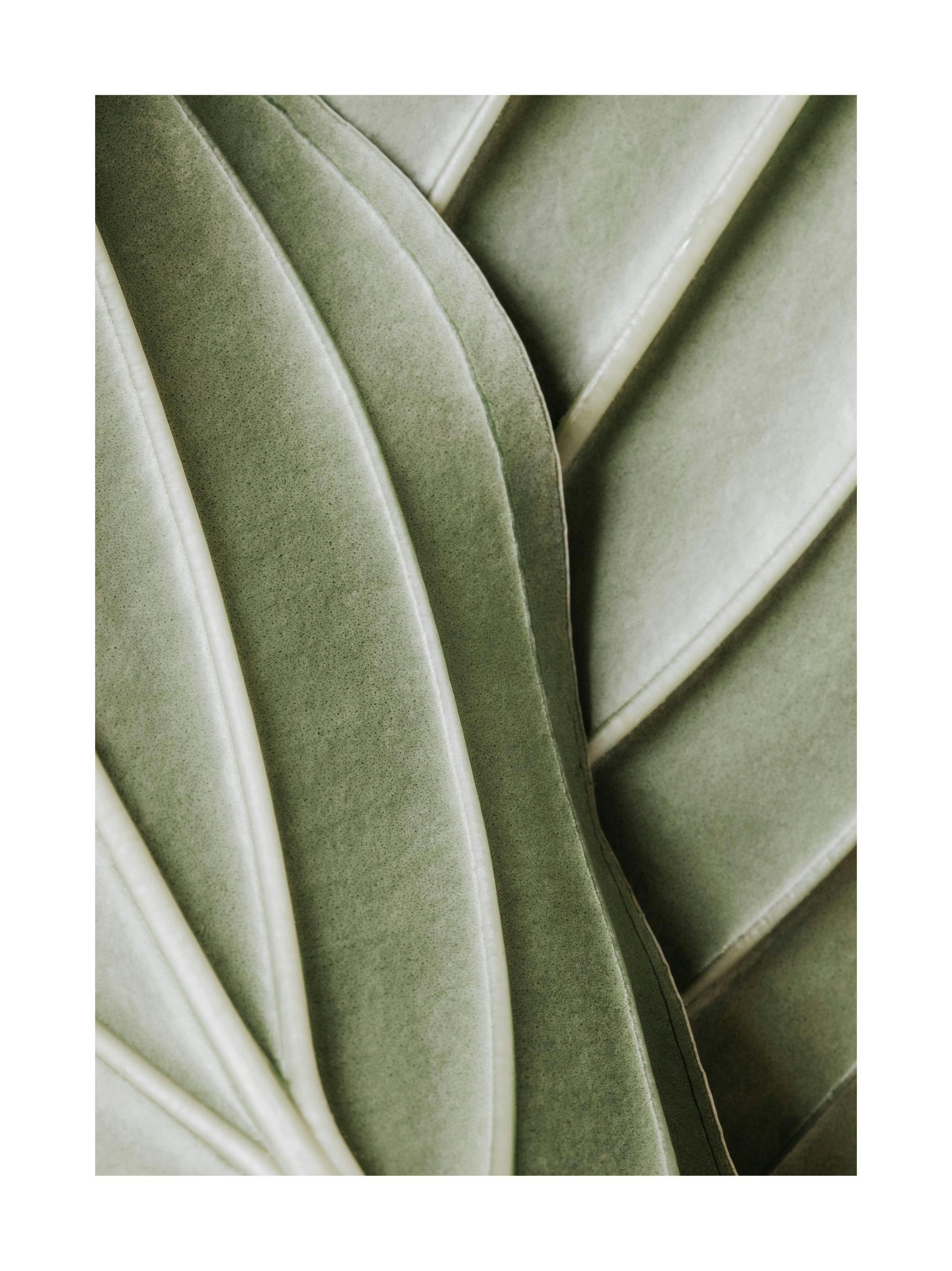 Detailed close-up print of a green leaf showing organic lines and natural texture, ideal as a poster.