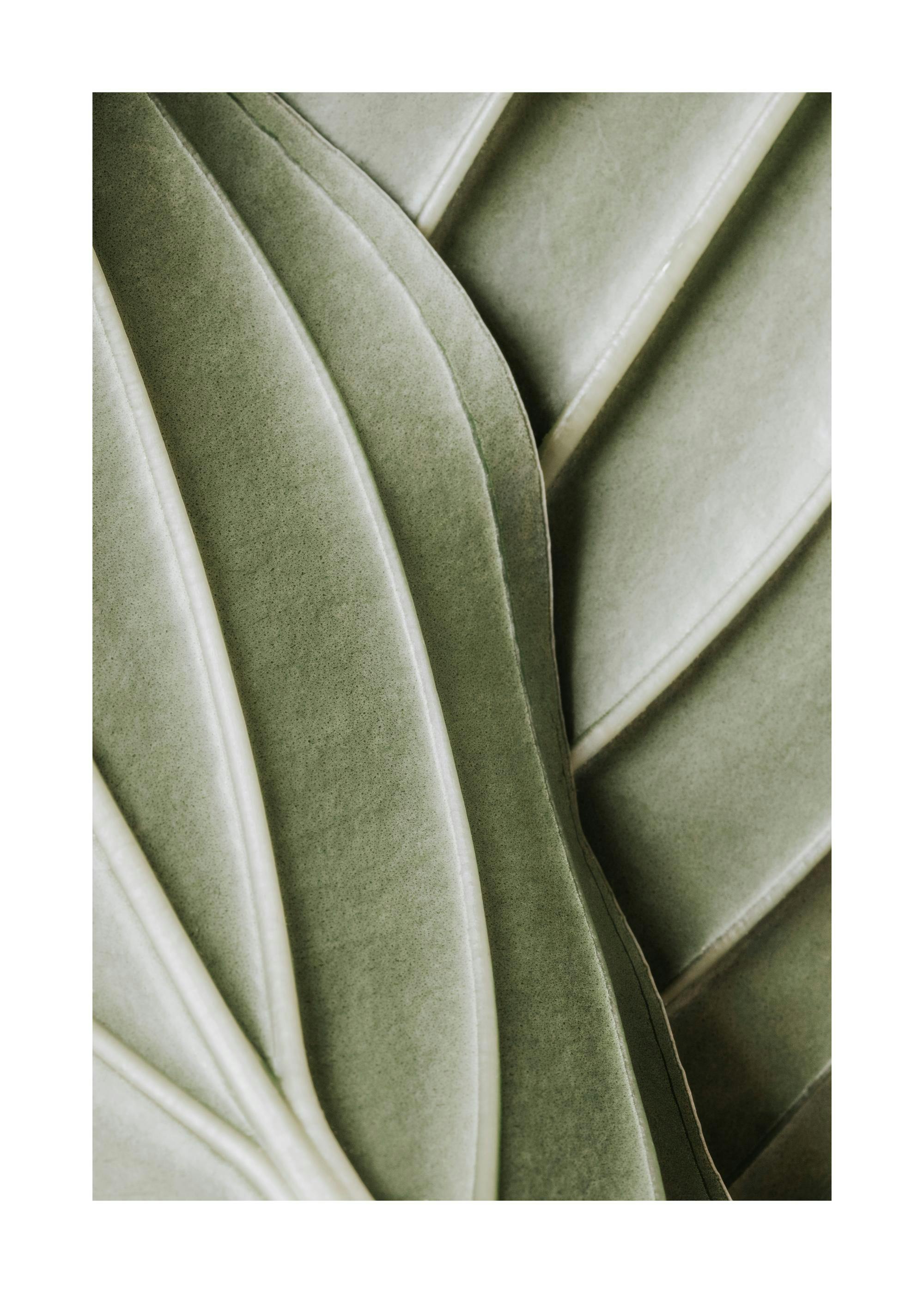 Detaljerat fotografi av ett grönt löv med synliga vener, vilket skapar en organisk och naturlig känsla.