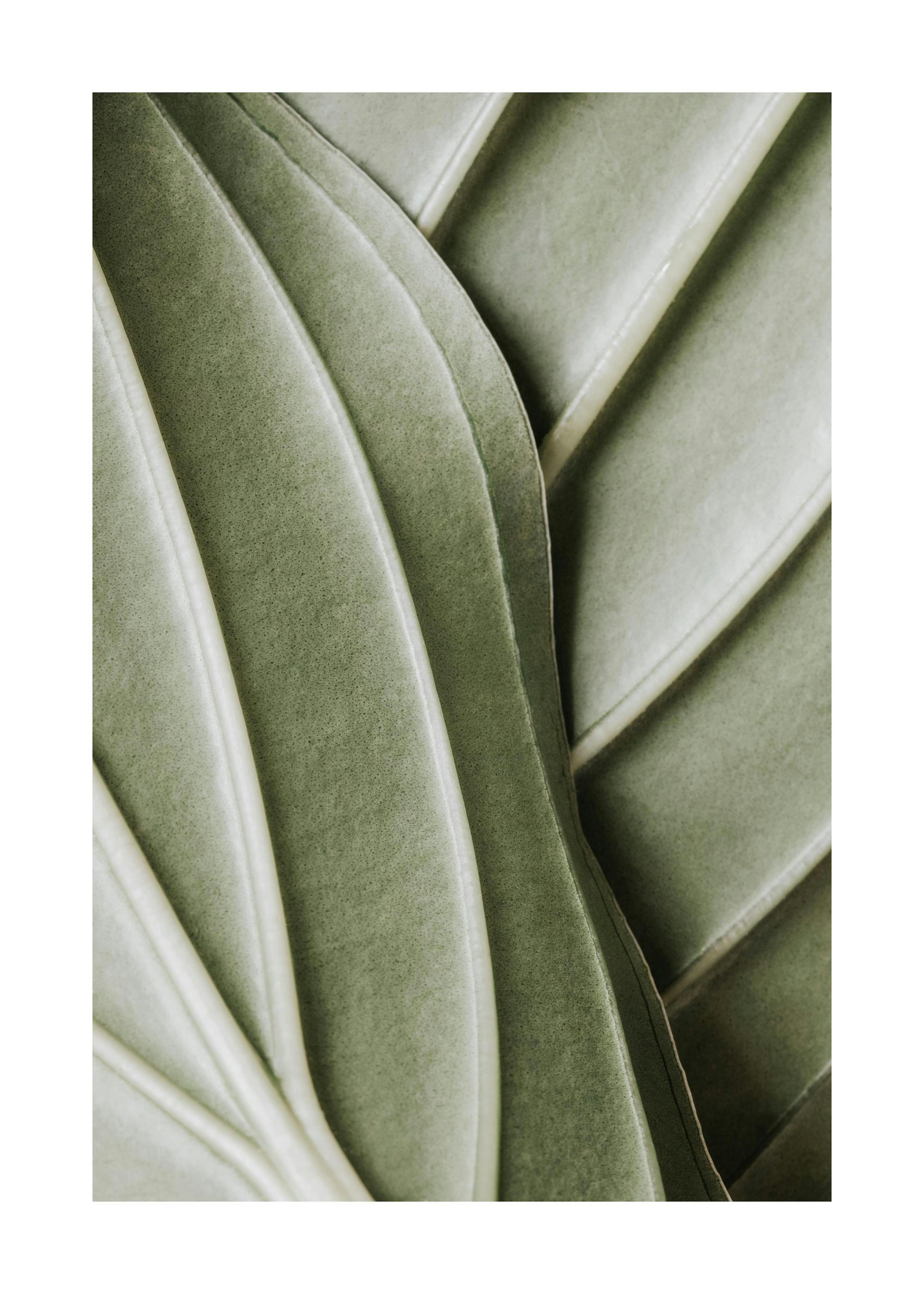 Organic Lines Plakat 0