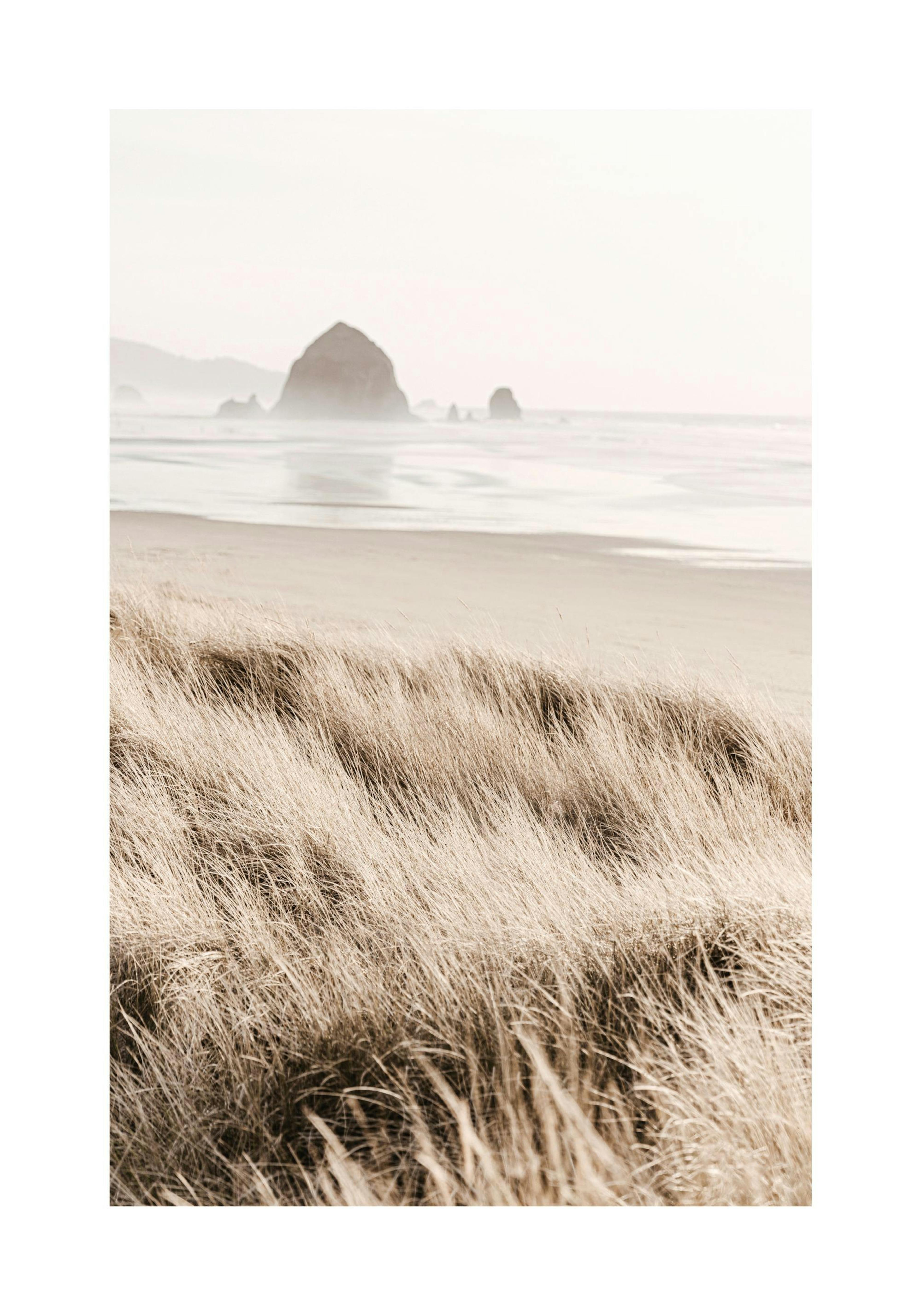Morning beach print, sandy dunes with tall grass, ocean vista, and large rock formations. Nature poster art.