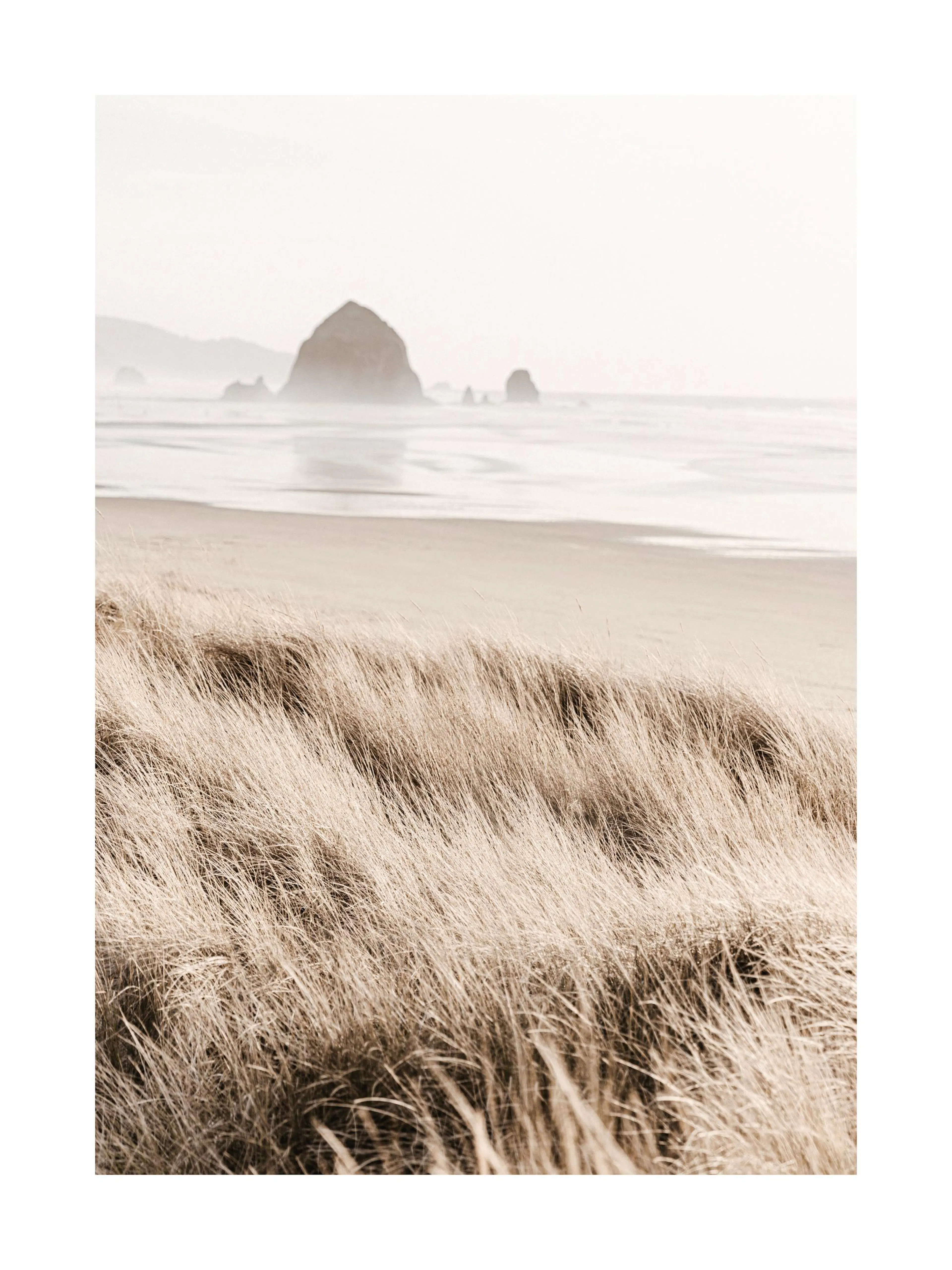 Poster: Strandmorgen mit Sanddünen und Felsen im Meer in beigen Naturfarben, körnige Fotostruktur.
