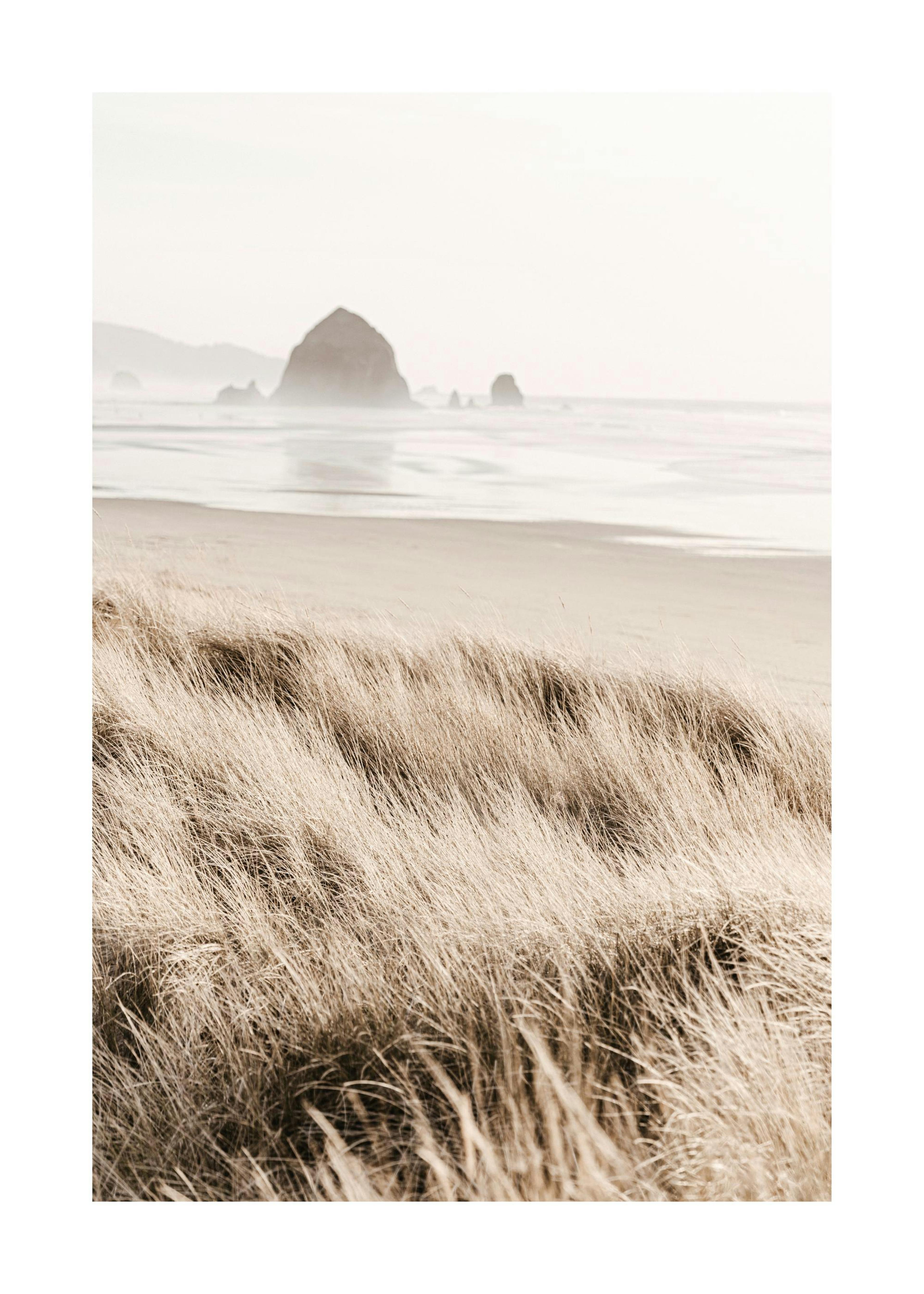 Morning Beach Print 0