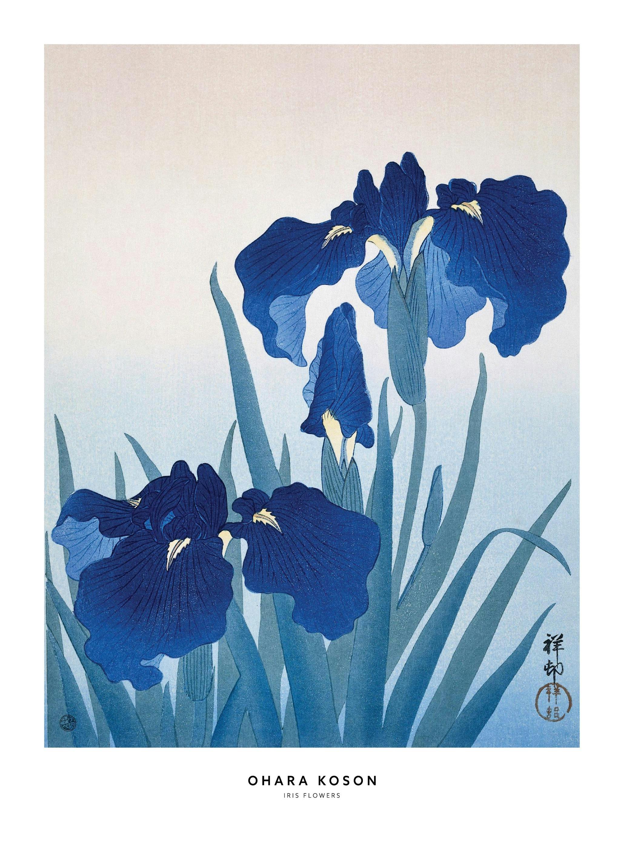 Ohara Koson - Iris Flowers Plakat (21x30 cm)-Plakaty