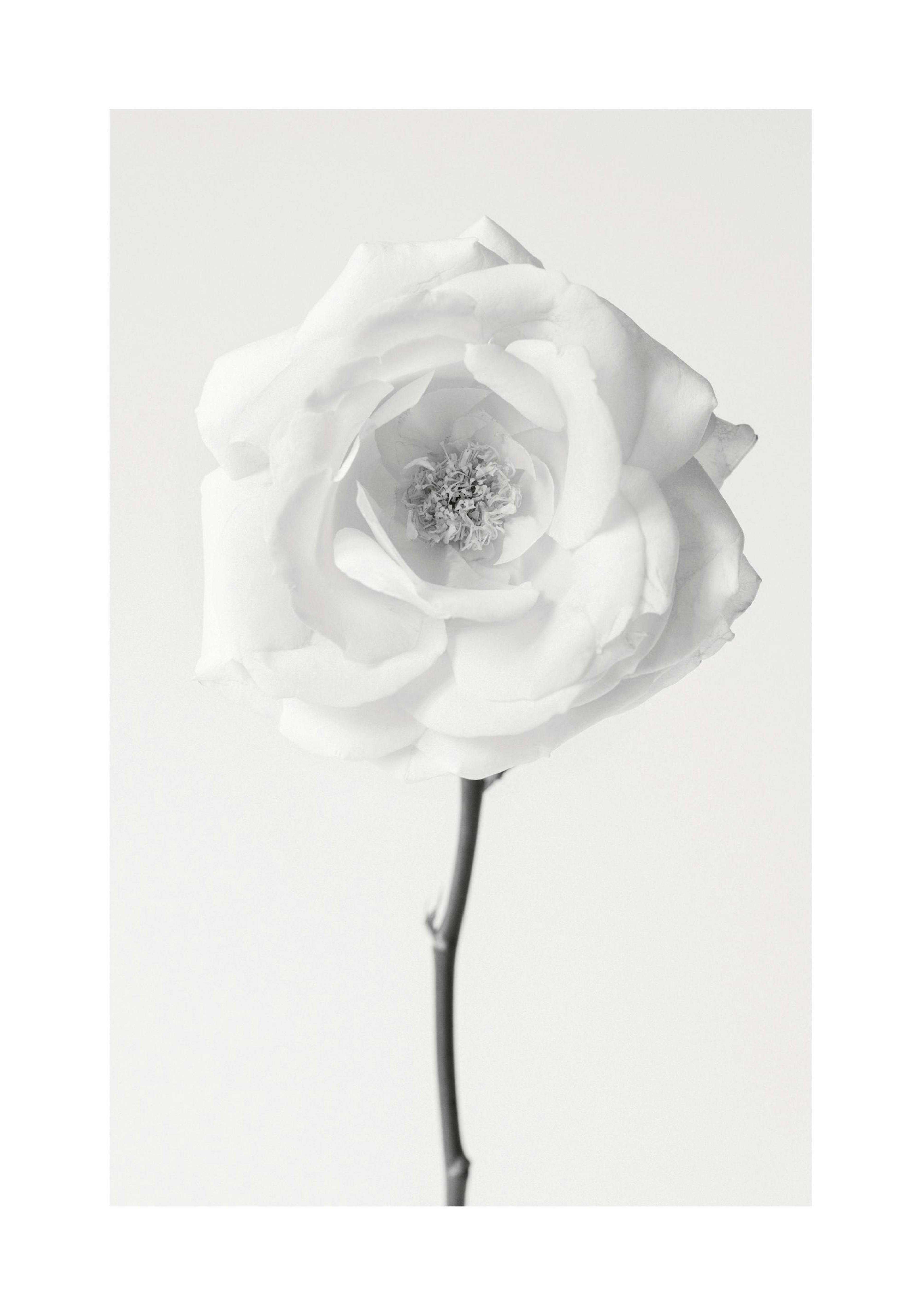 Product image: 1