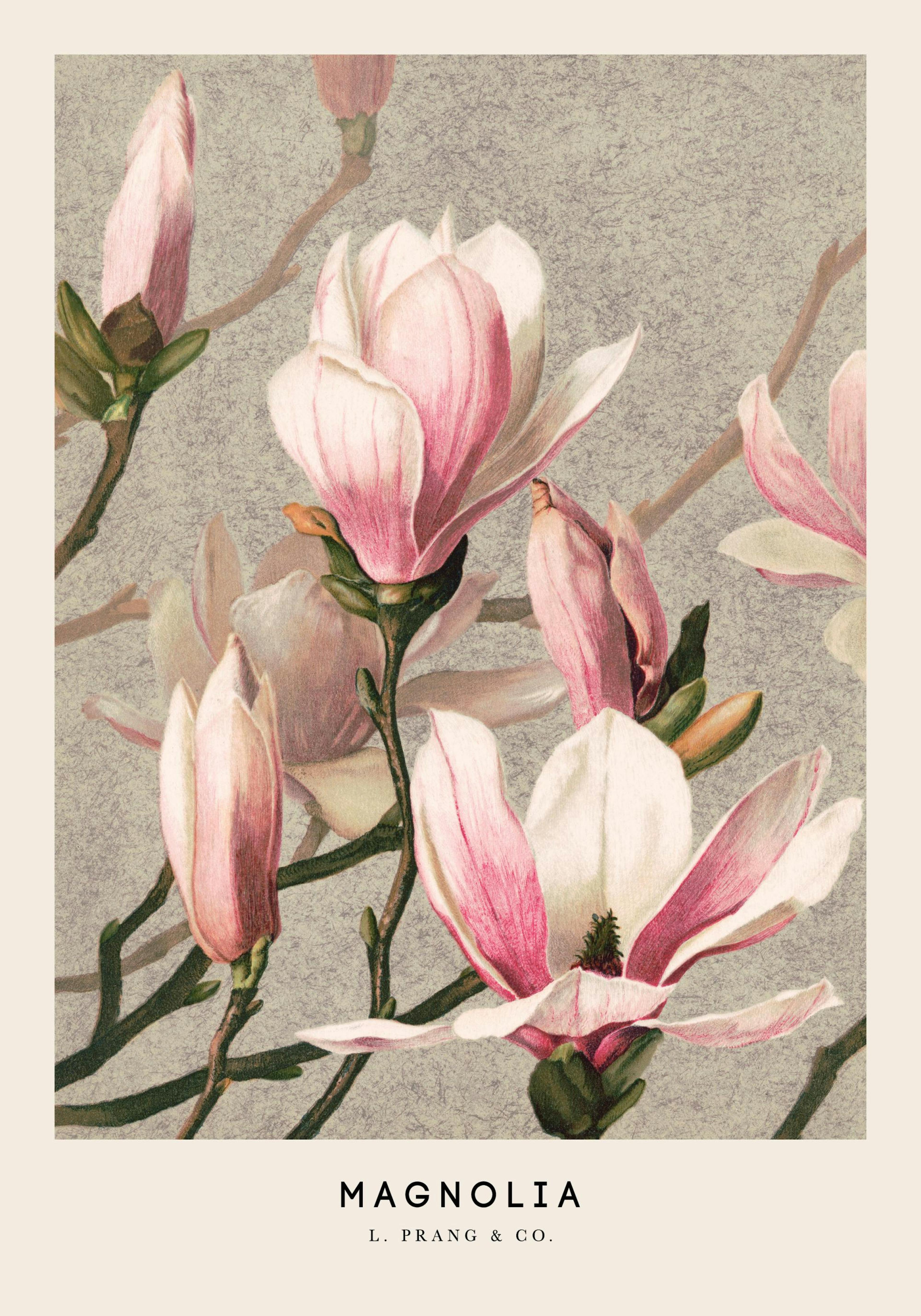 Product image: 1