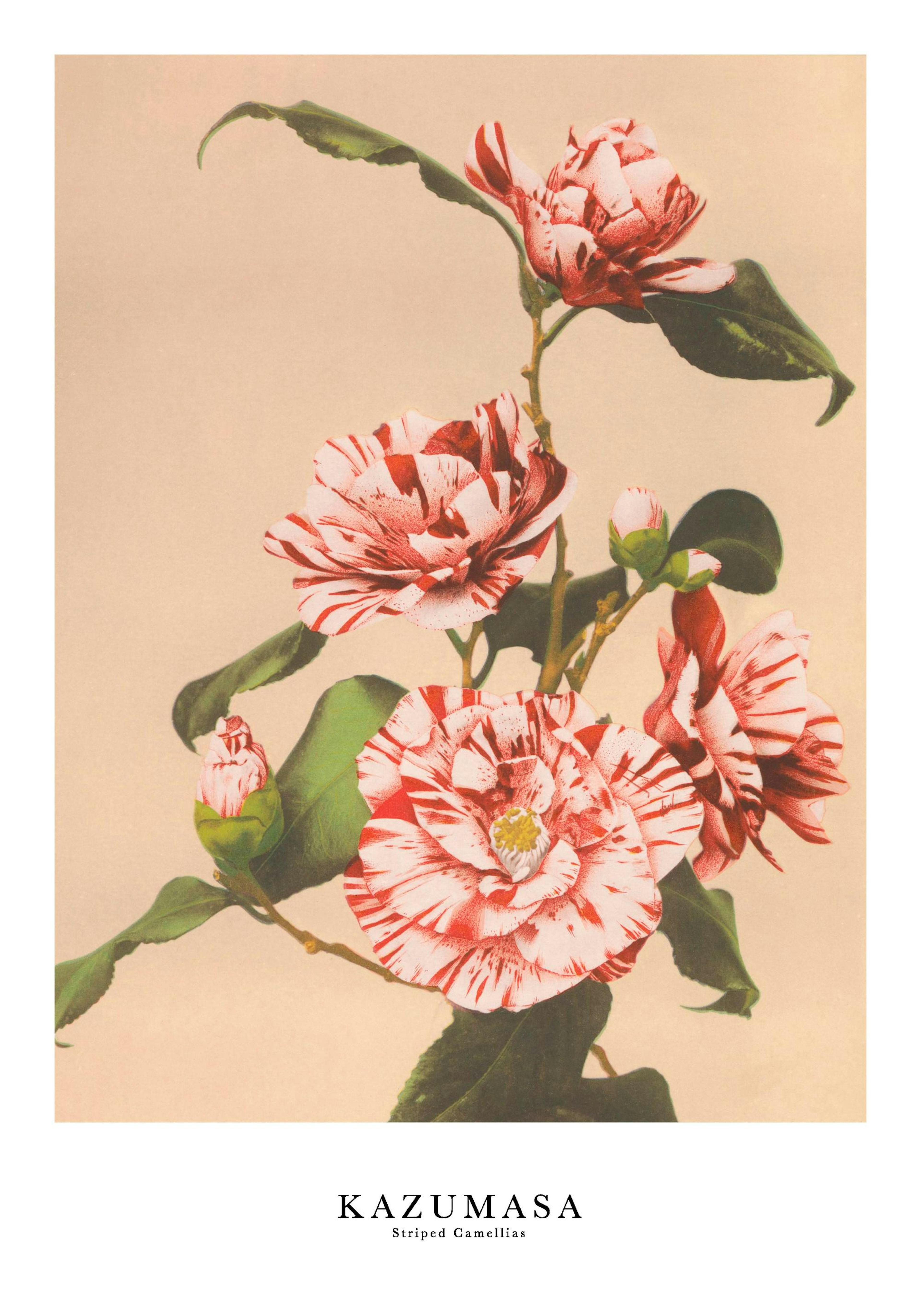 Product image: 1