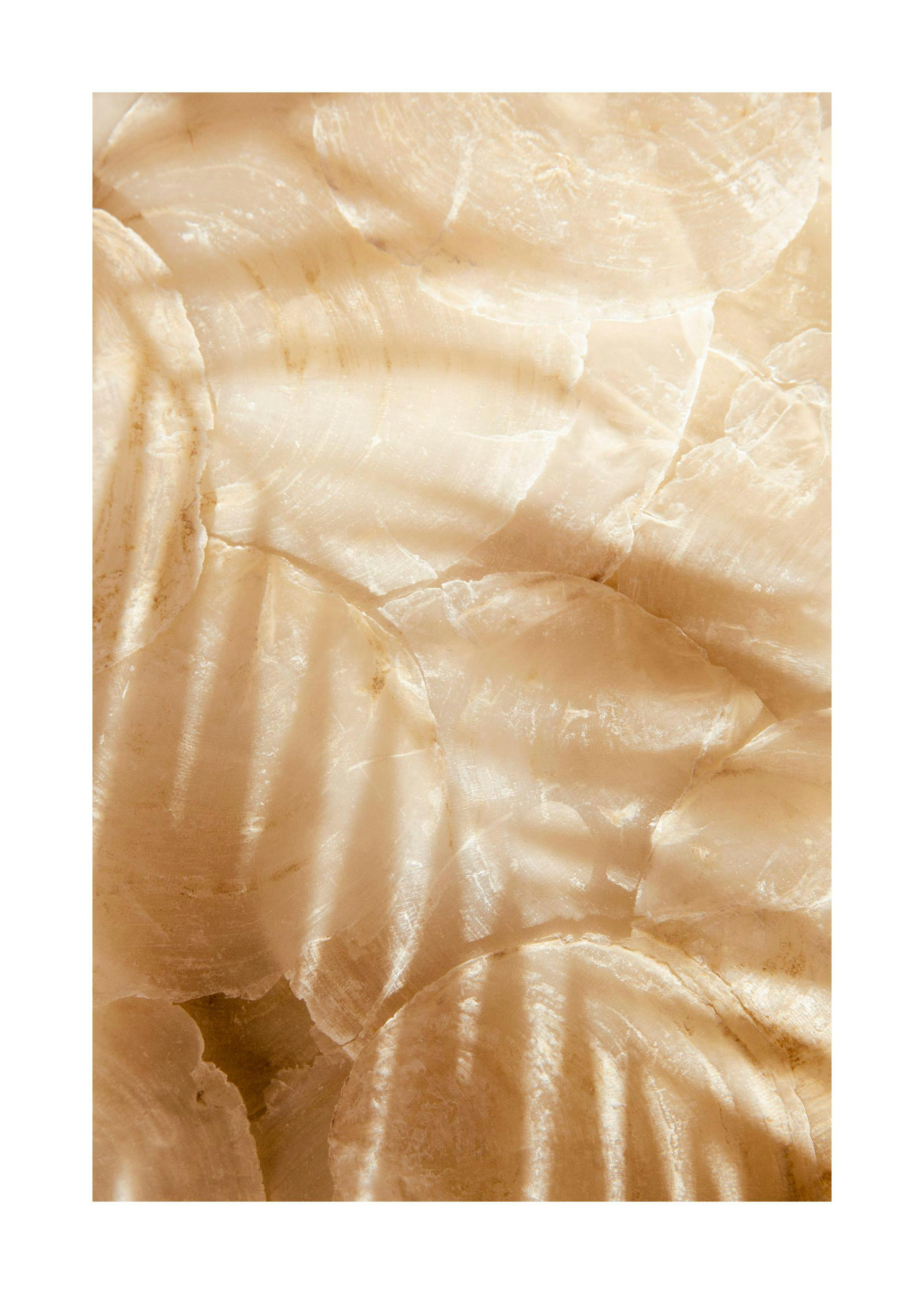 베이지색 조개껍데기에 야자수 잎 그림자가 비치는 사진, 포스터