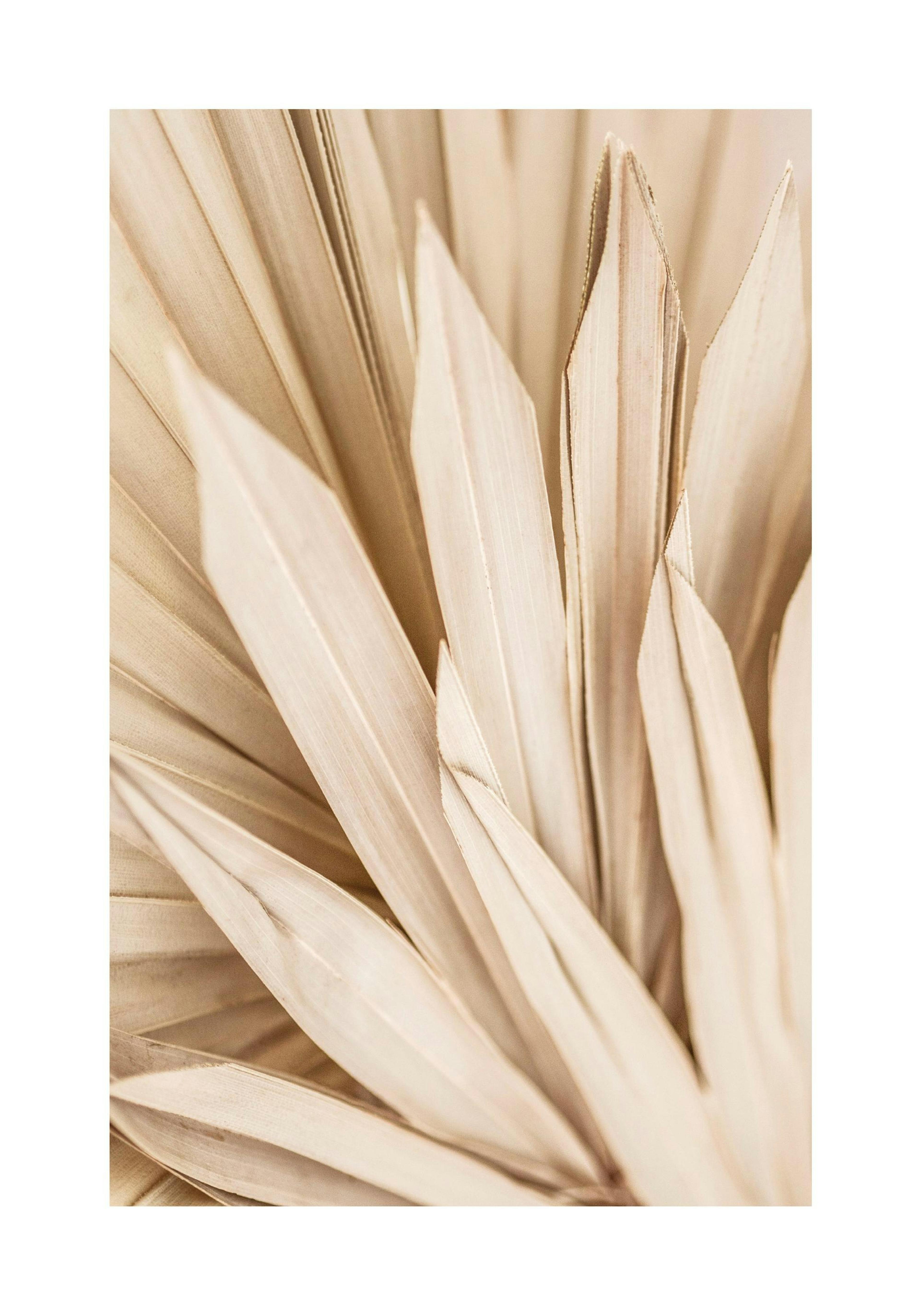 Product image: 1