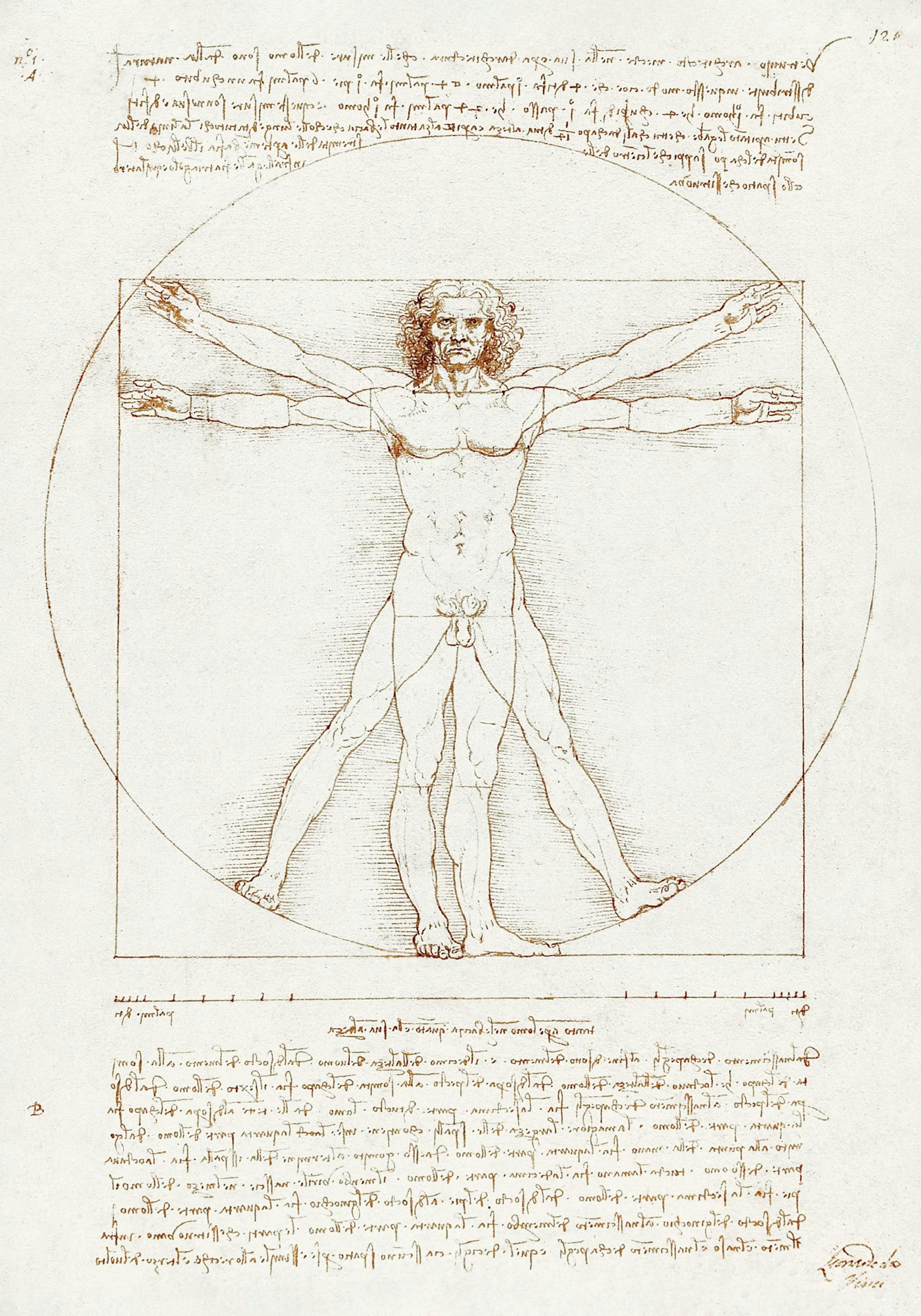 Beige print of Leonardo Da Vincis Vitruvian Man, a male figure in a square and circle with spread limbs.