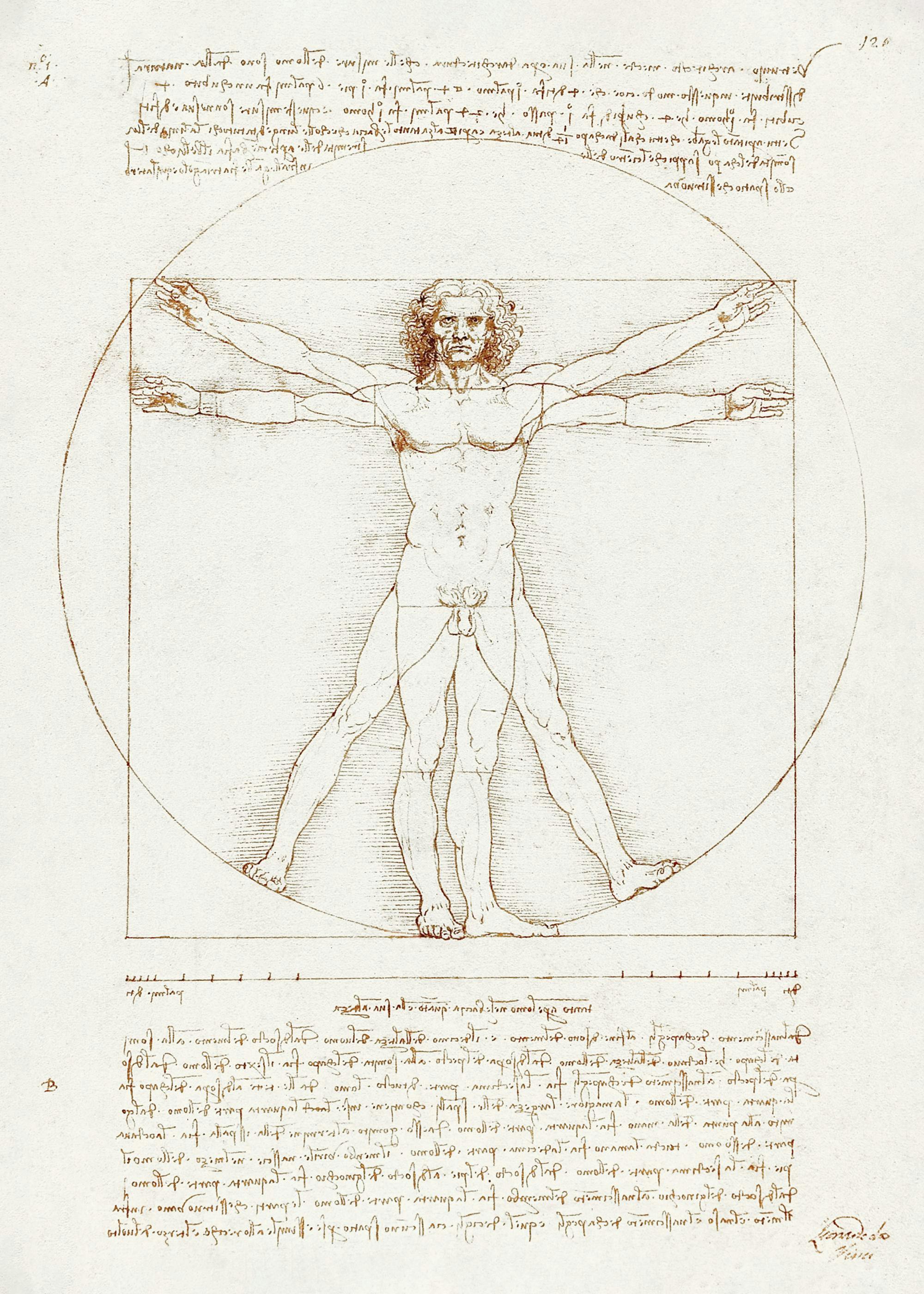 Vitruvian Man print by Leonardo Da Vinci, a beige historical drawing showing a man in a circle and square.