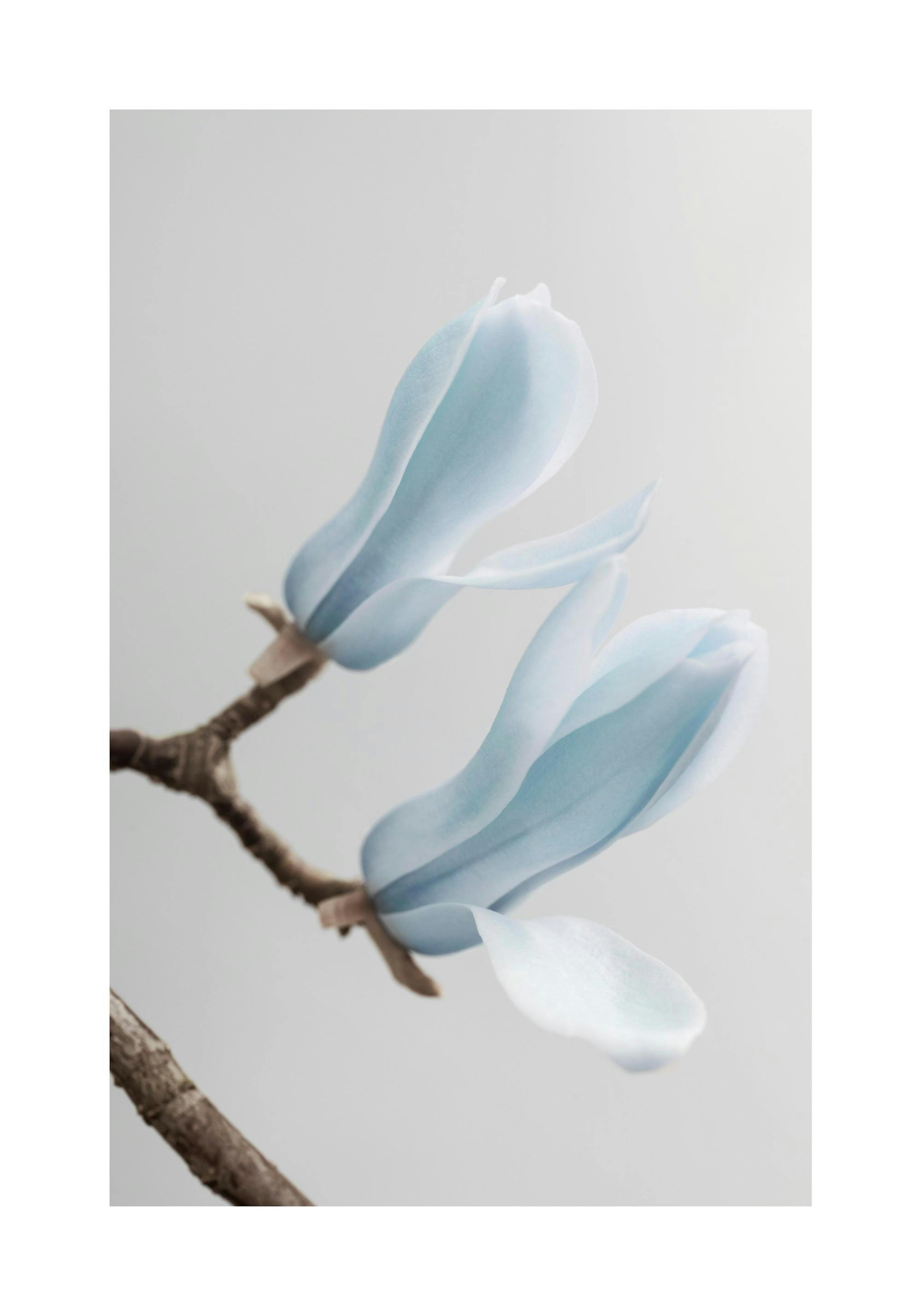 Product image: 1