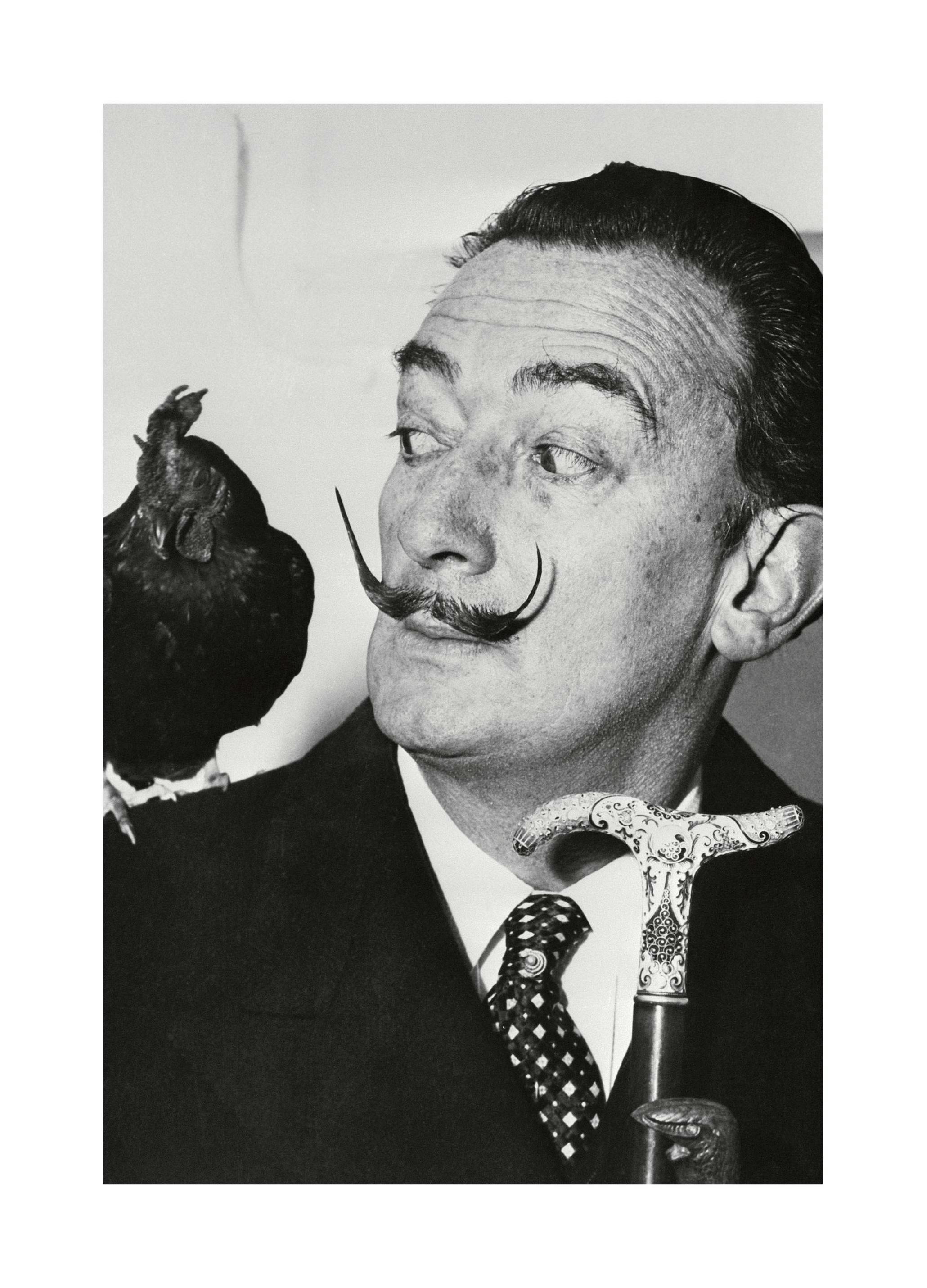 Salvador Dalí Affiche (50x70 cm) - Photos iconiques