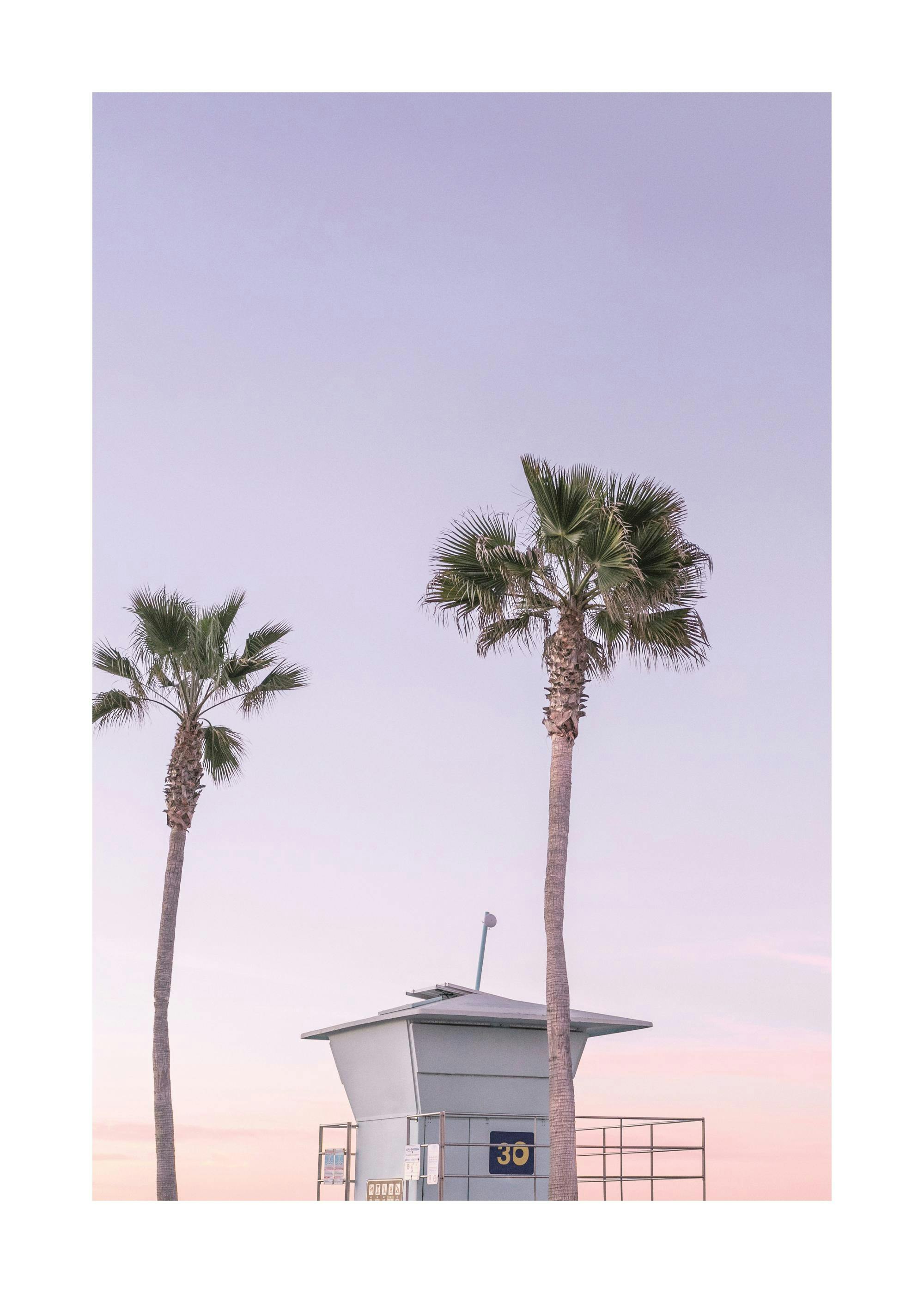 Affiche photographie coucher de soleil mauve, maison de plage, palmiers
