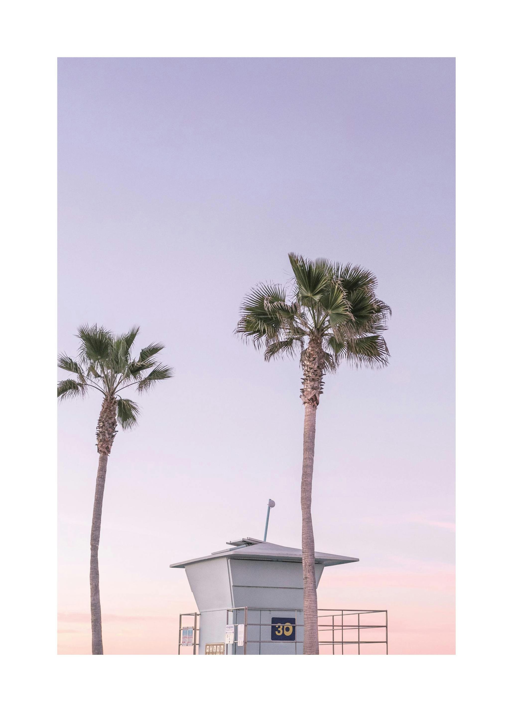 Prints - Purple Beach House Print (30x40 cm) - Palm prints
