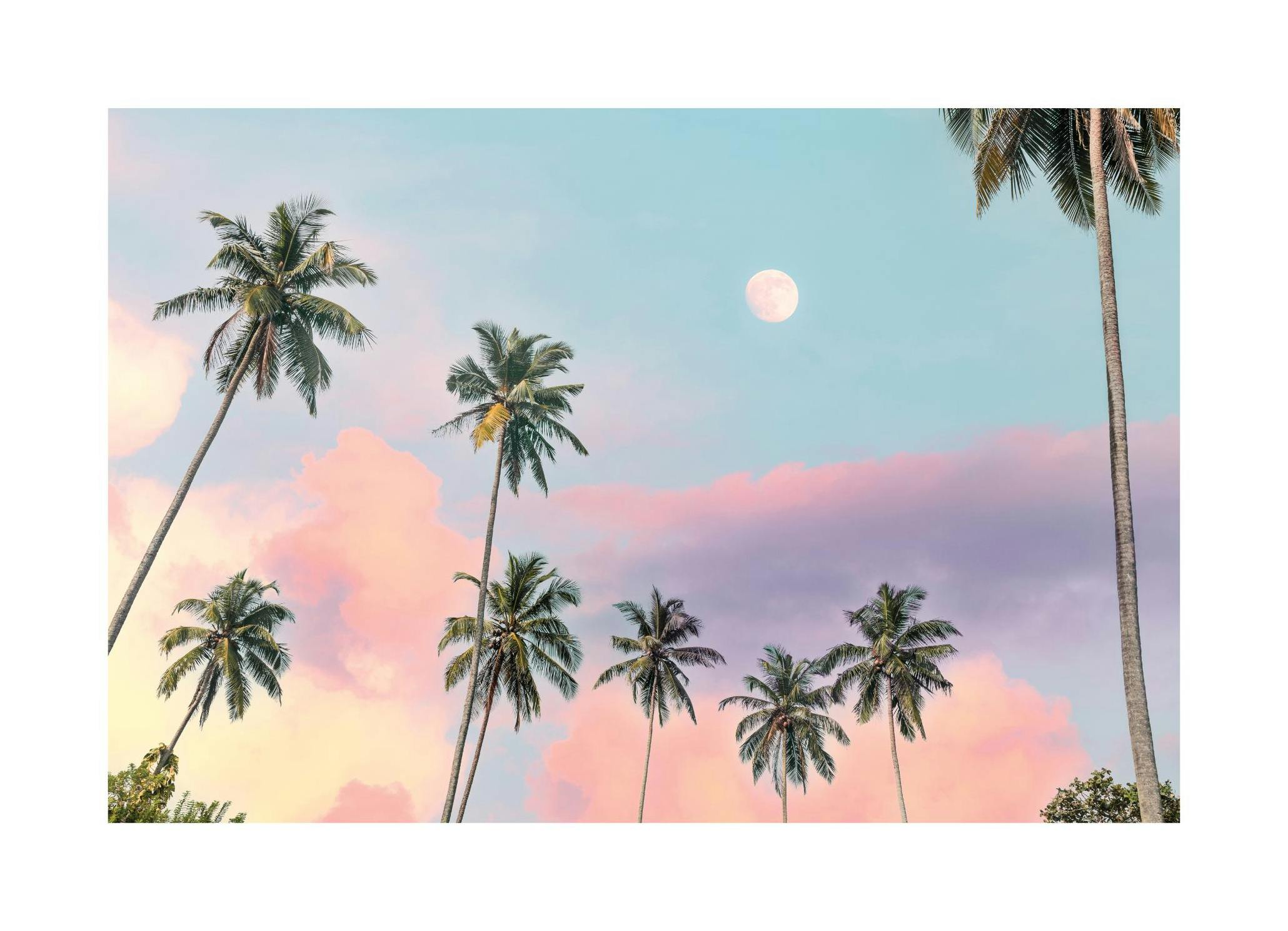 California Sky Poster (30x40 cm) -  Poster mit Palmenmotiven