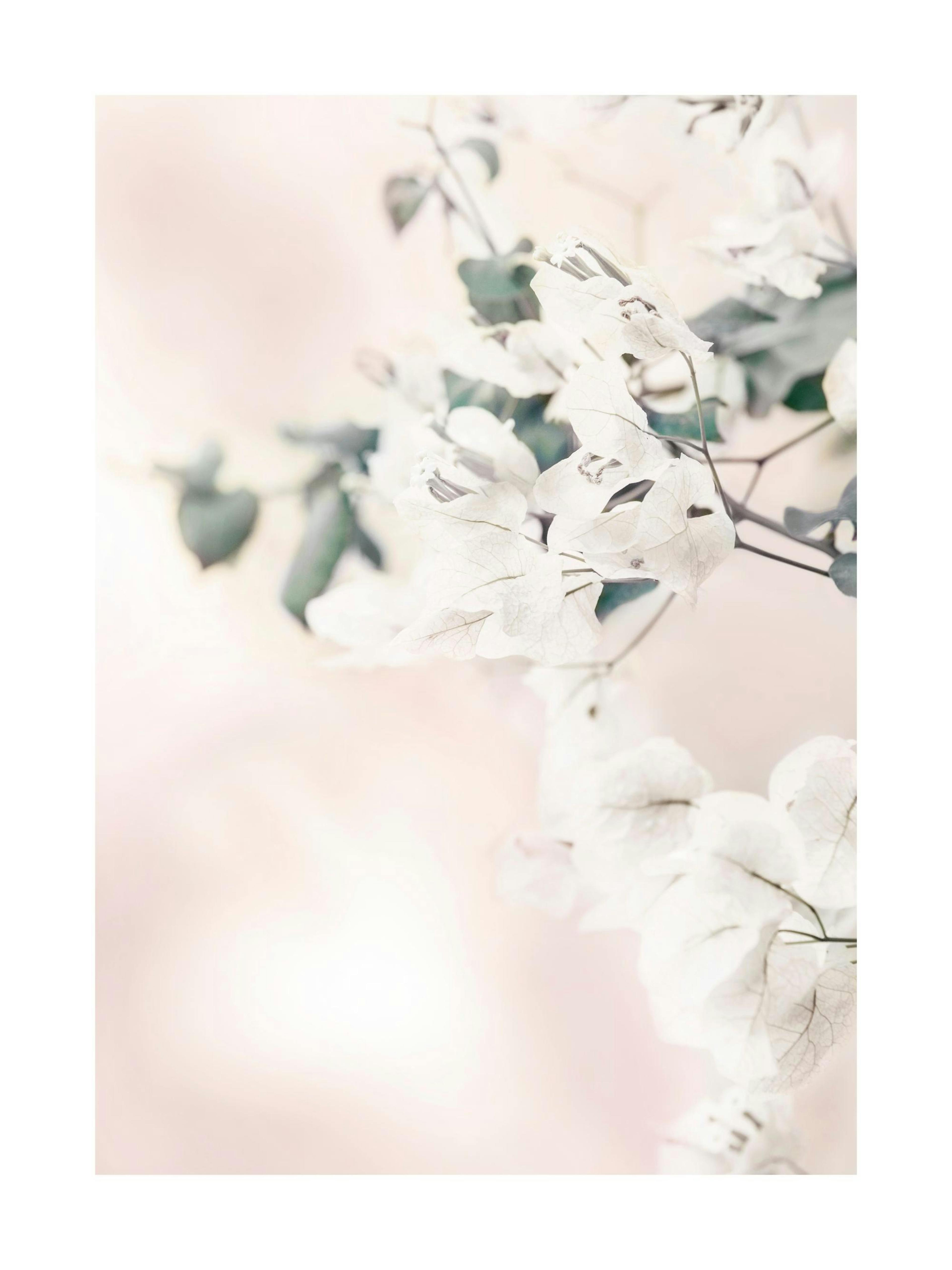 Product image: 1